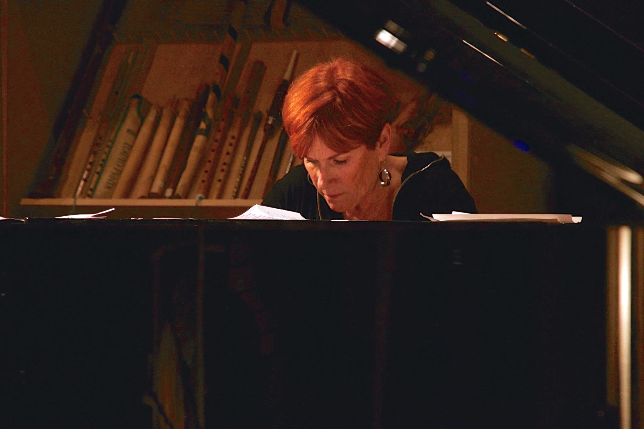 Diane Roblin at the Musideum