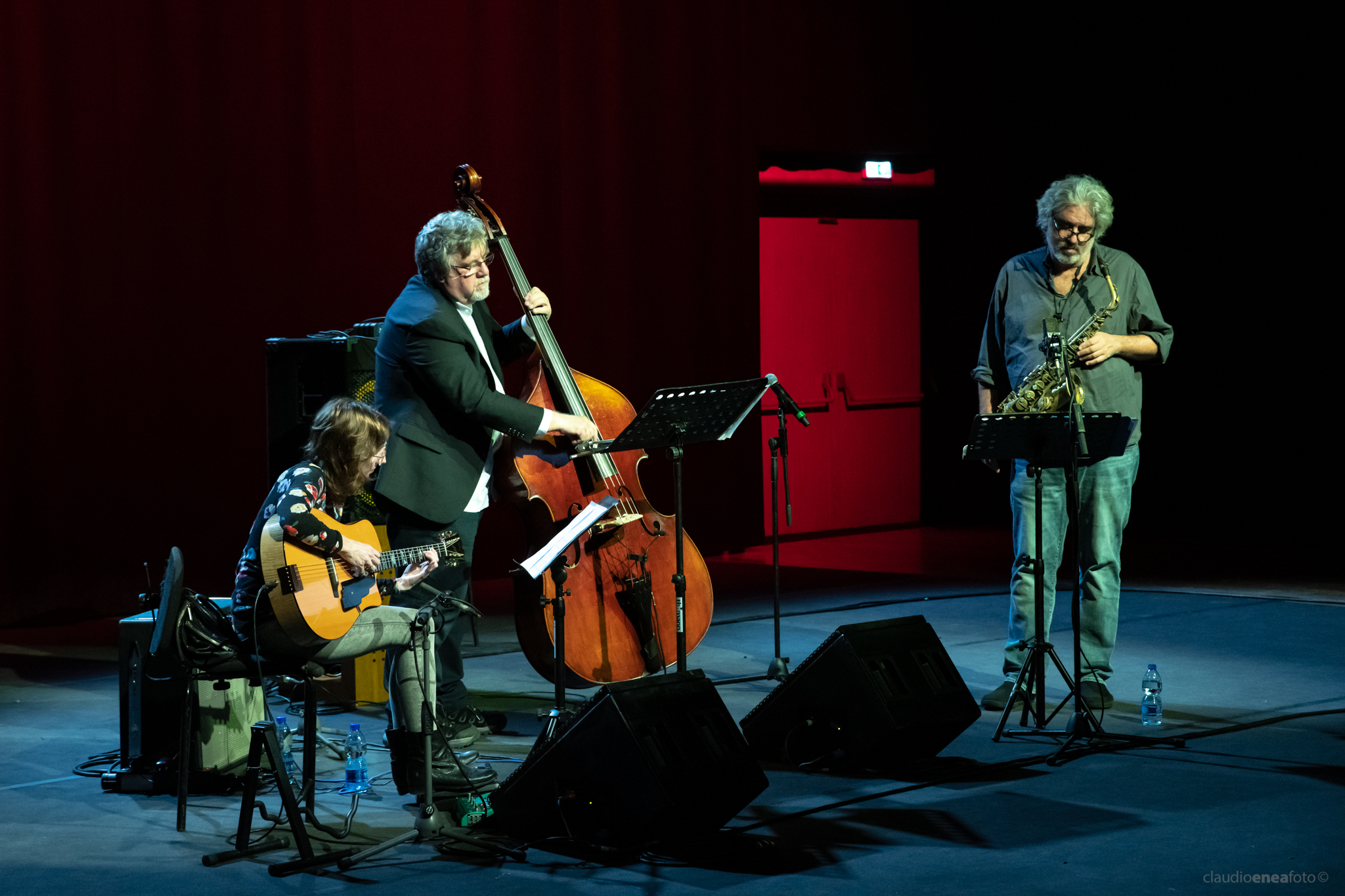 Michael Formanek's Very Pratical Trio - Auditorium Parco della Musica Roma 22.01.2019