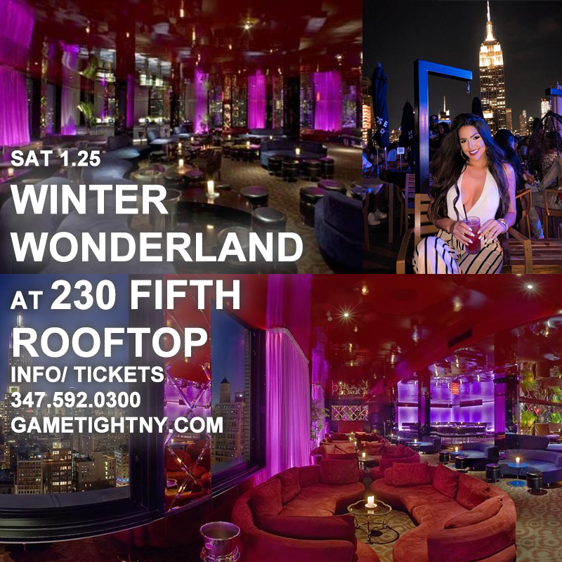 Winter Wonderland Penthouse Party At 230 Fifth Rooftop