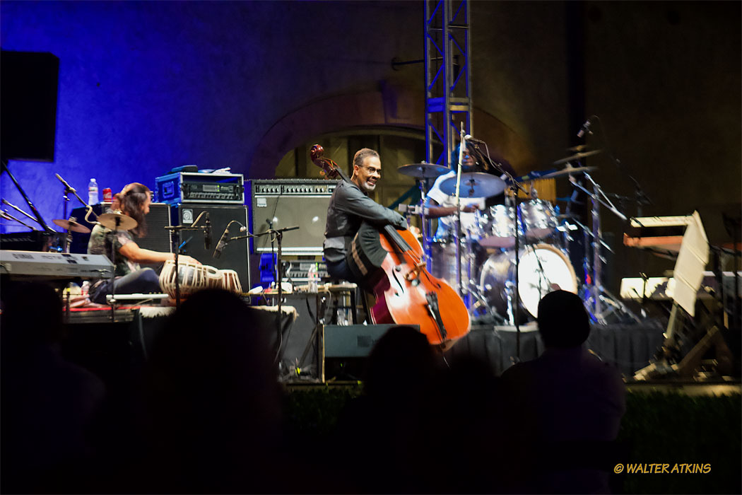 Stanley Clarke At Charles Krug Estate