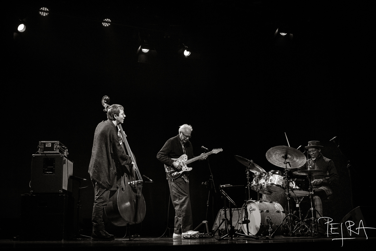 BILL FRISELL TRIO featuring THOMAS MORGAN & RUDY ROYSTON