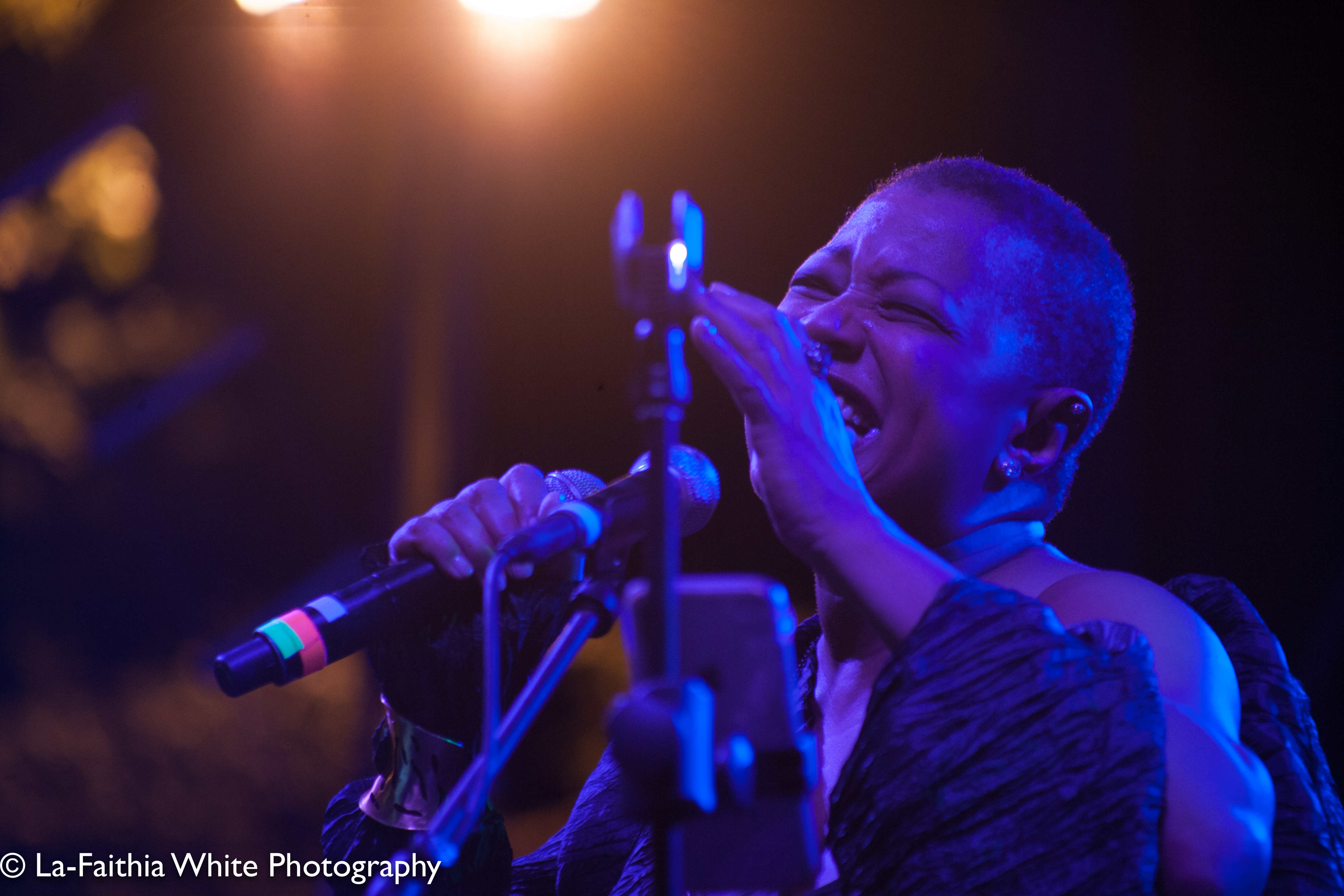 Lisa Fischer