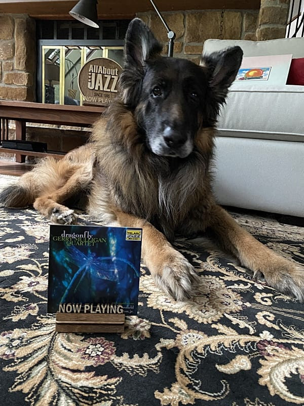 Sammy the German Shepherd