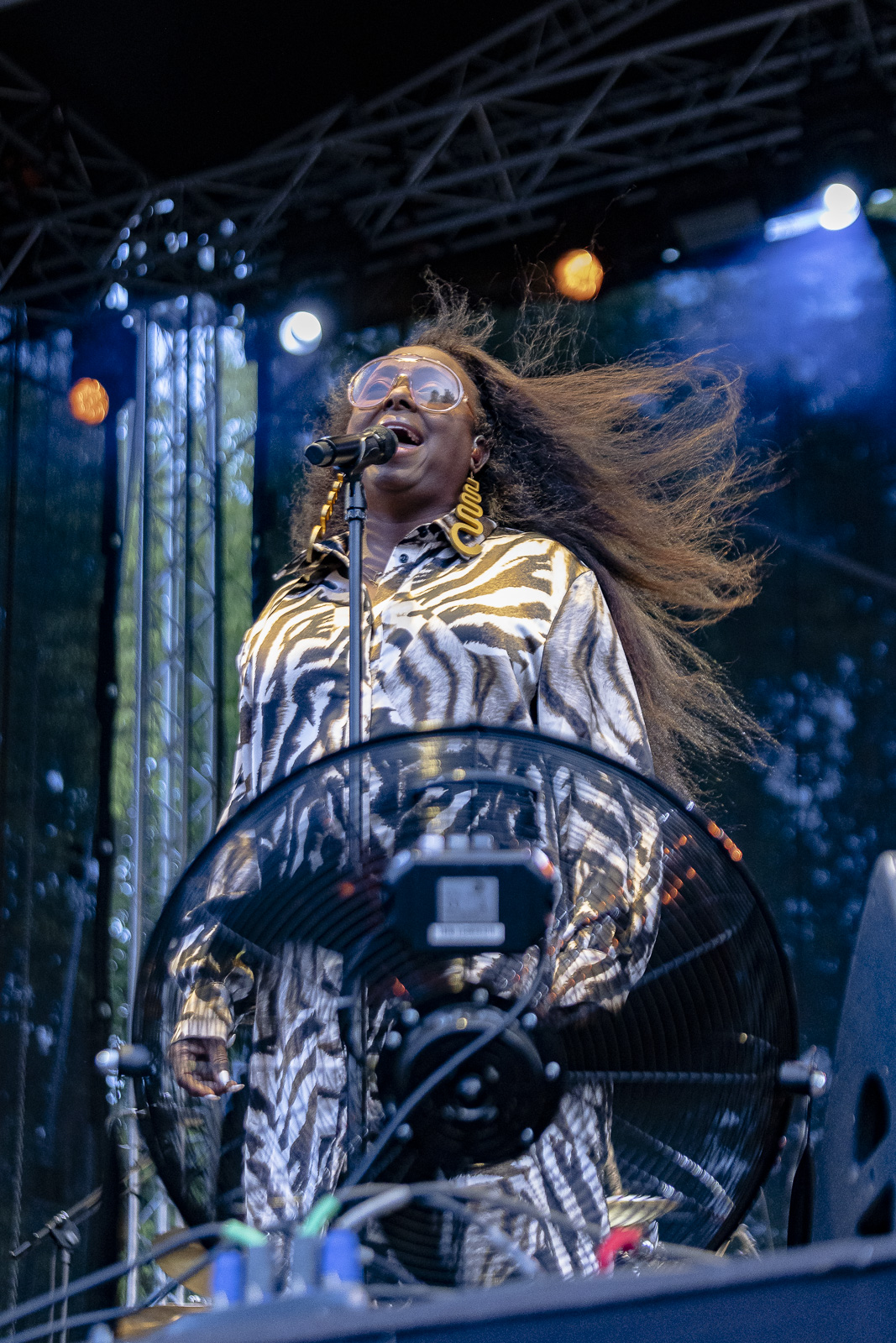 Ledisi