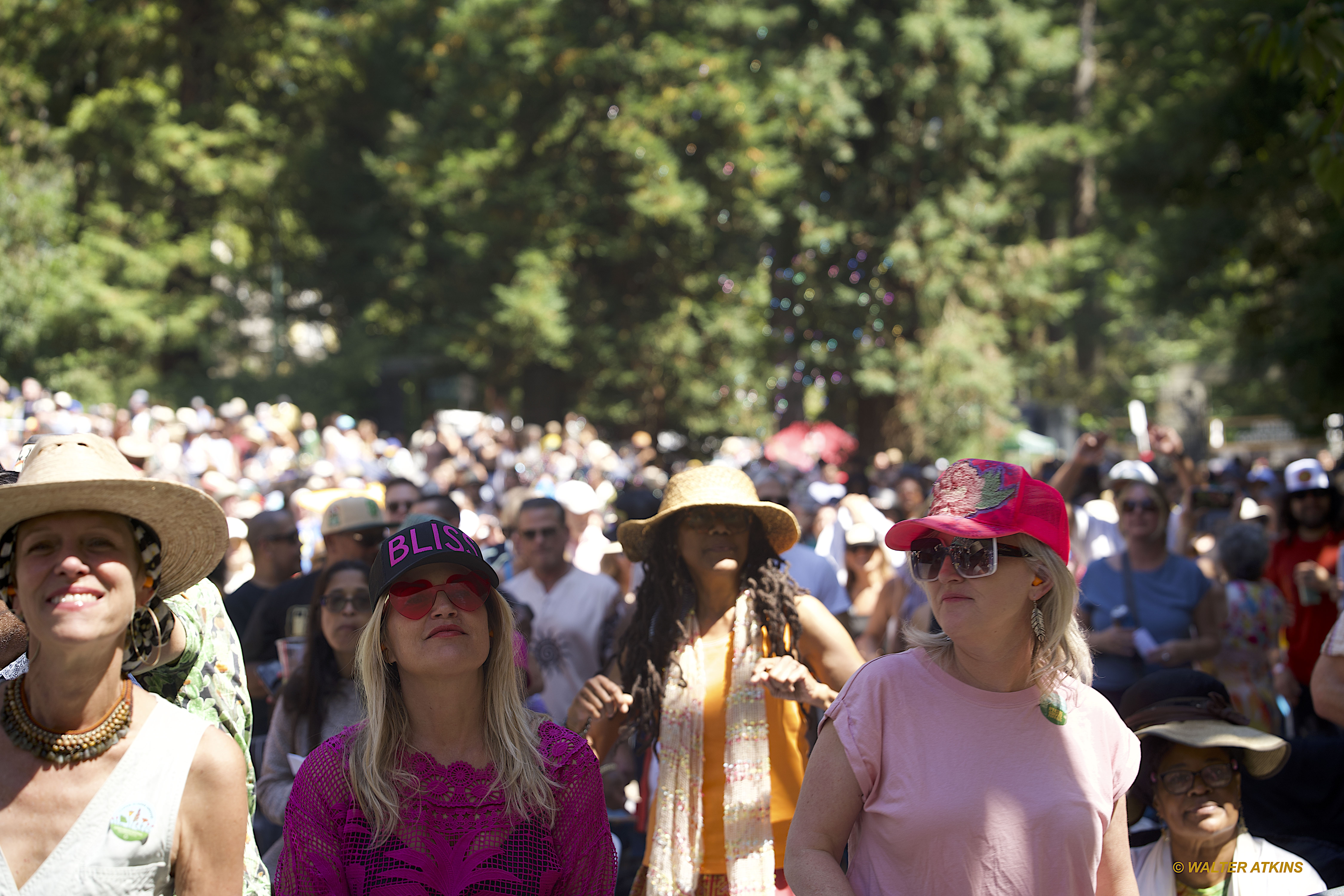 Chaka Khan at Stern Grove 2024