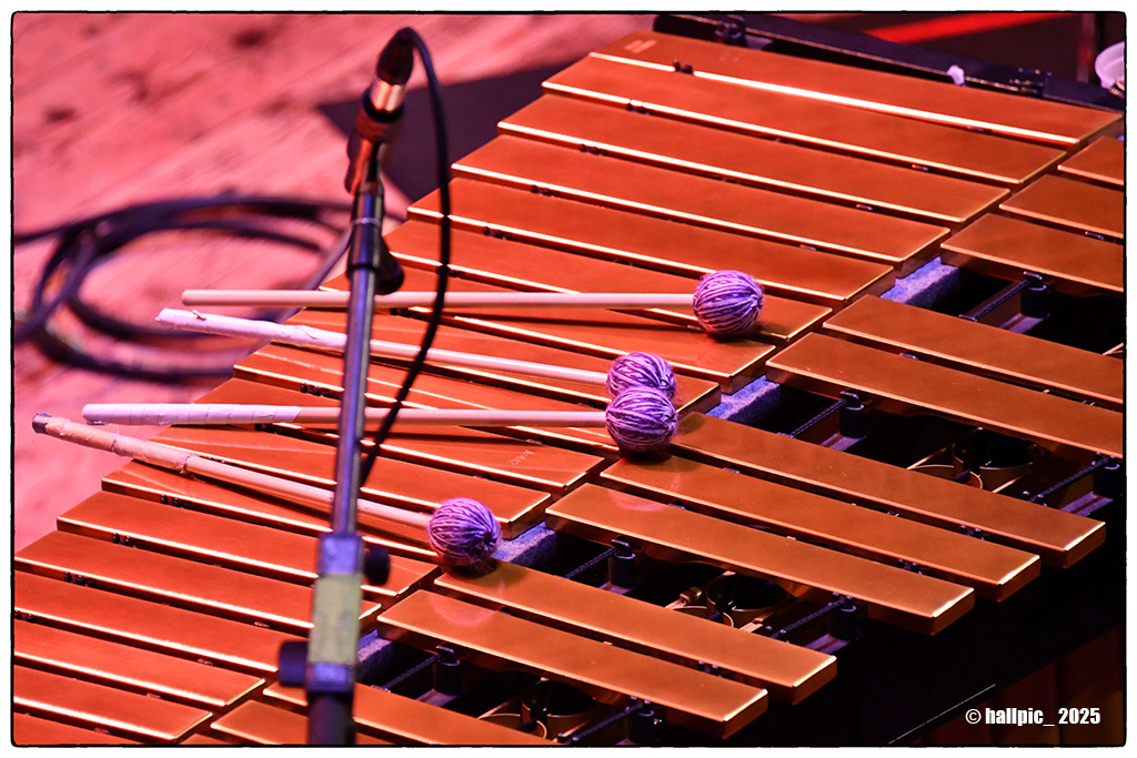 Peter Erskine & the Dr. Um Band feat. Mike Mainieri