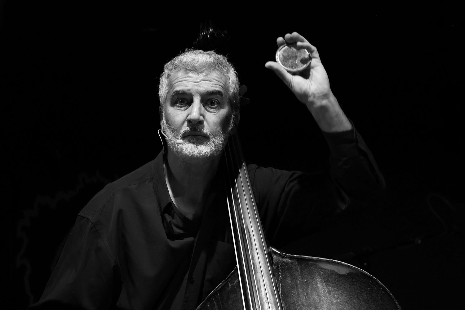 Enrico Francioni
