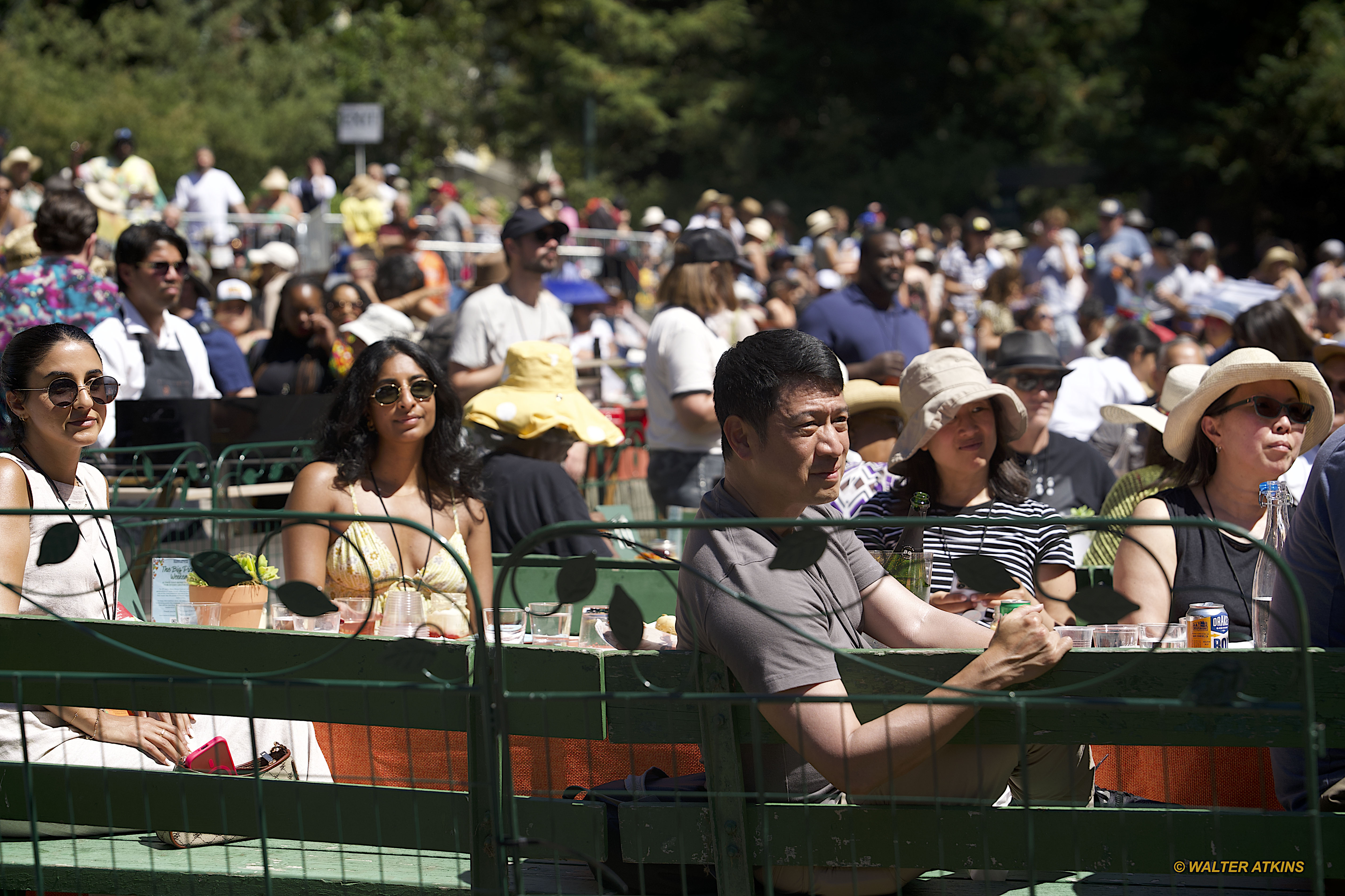Chaka Khan at Stern Grove 2024