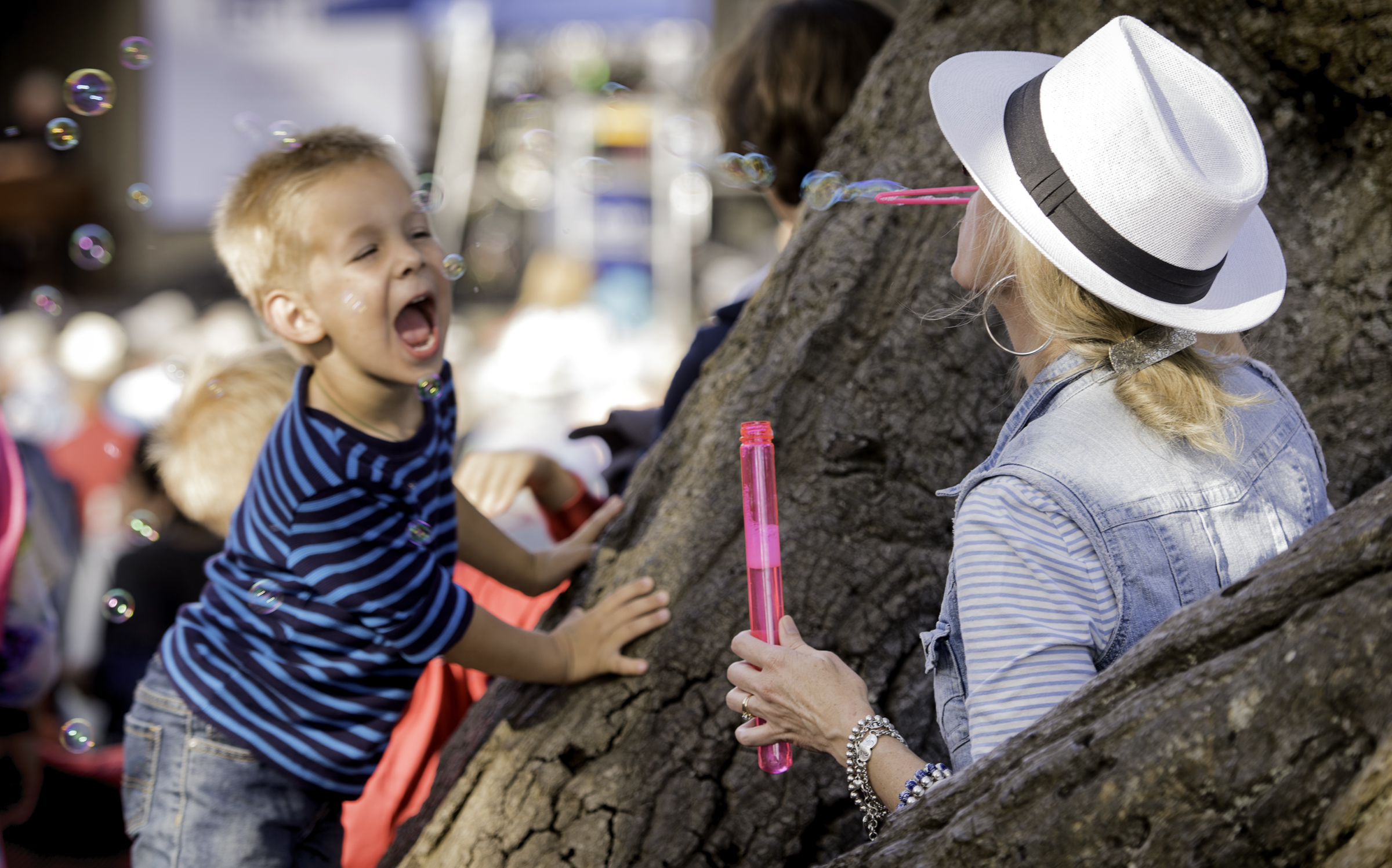 Fairgrounds at the Monterey Jazz Festival