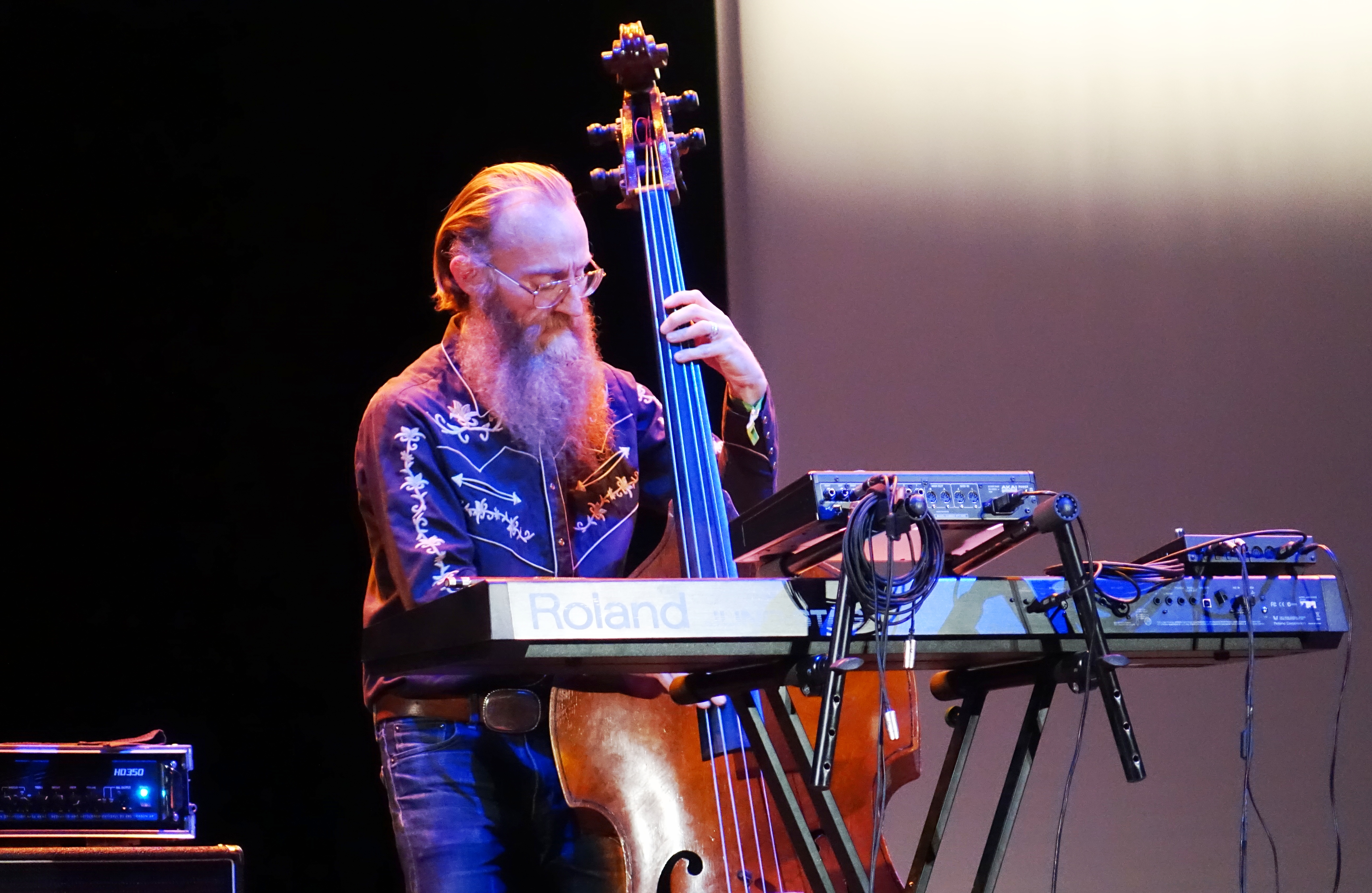 Rex Horan at the Vilnius Mama Jazz Festival in November 2017