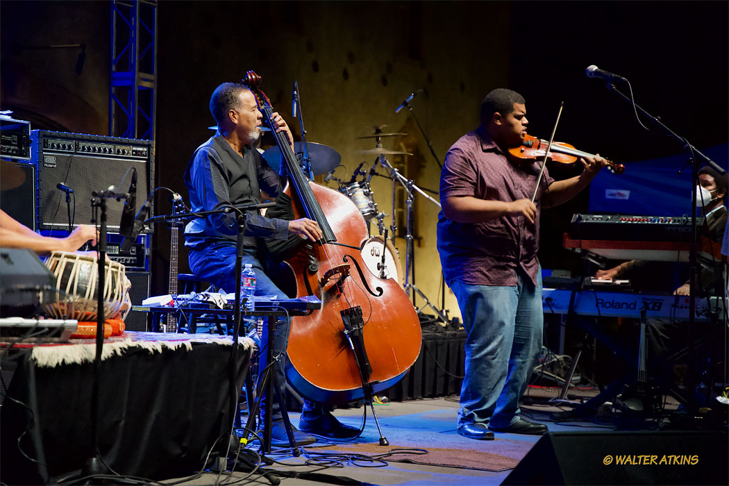 Stanley Clarke At Charles Krug Estate