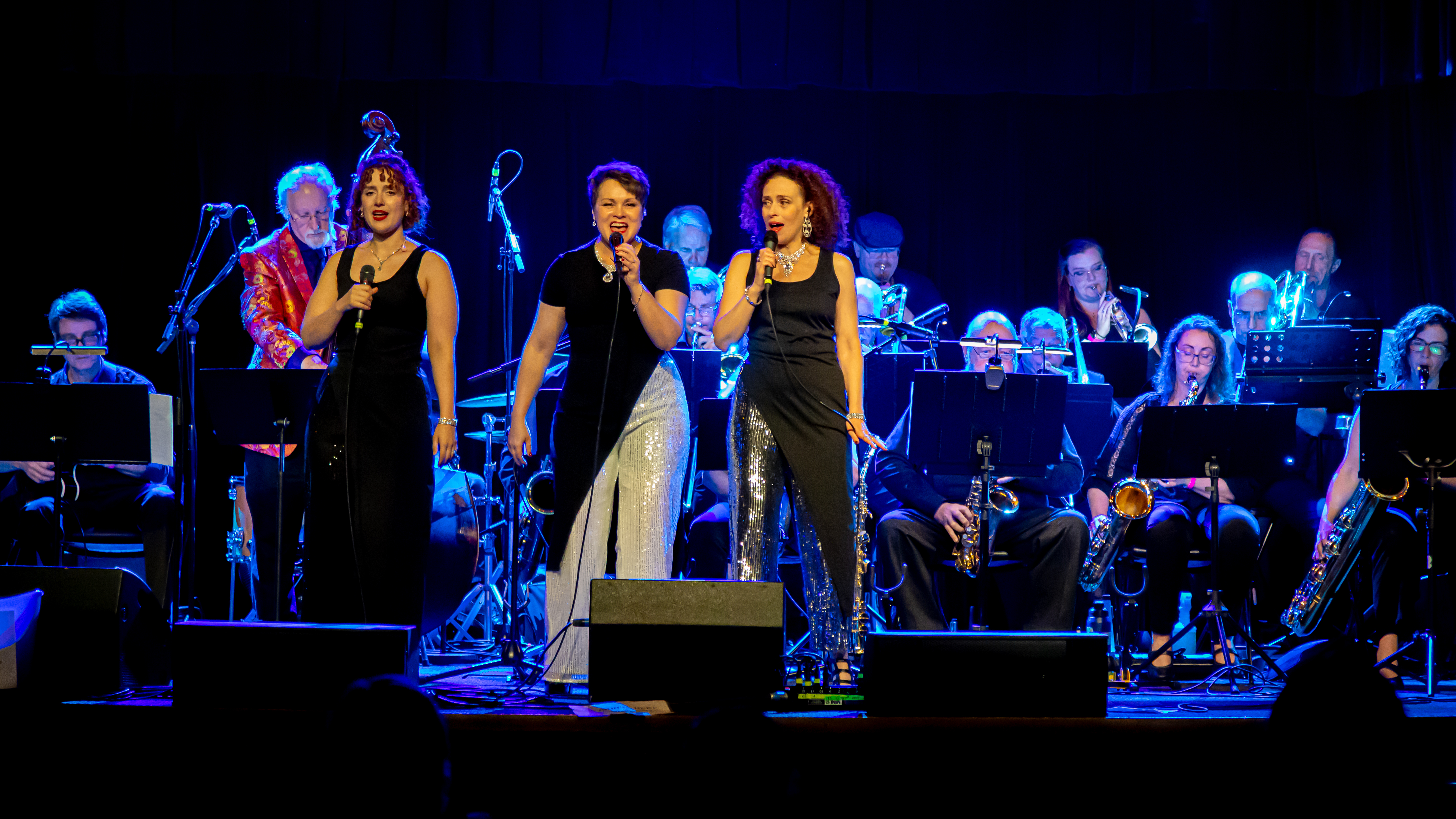 Untitled Jazz Photo — jazz photo by Caitlin Frances | All About Jazz