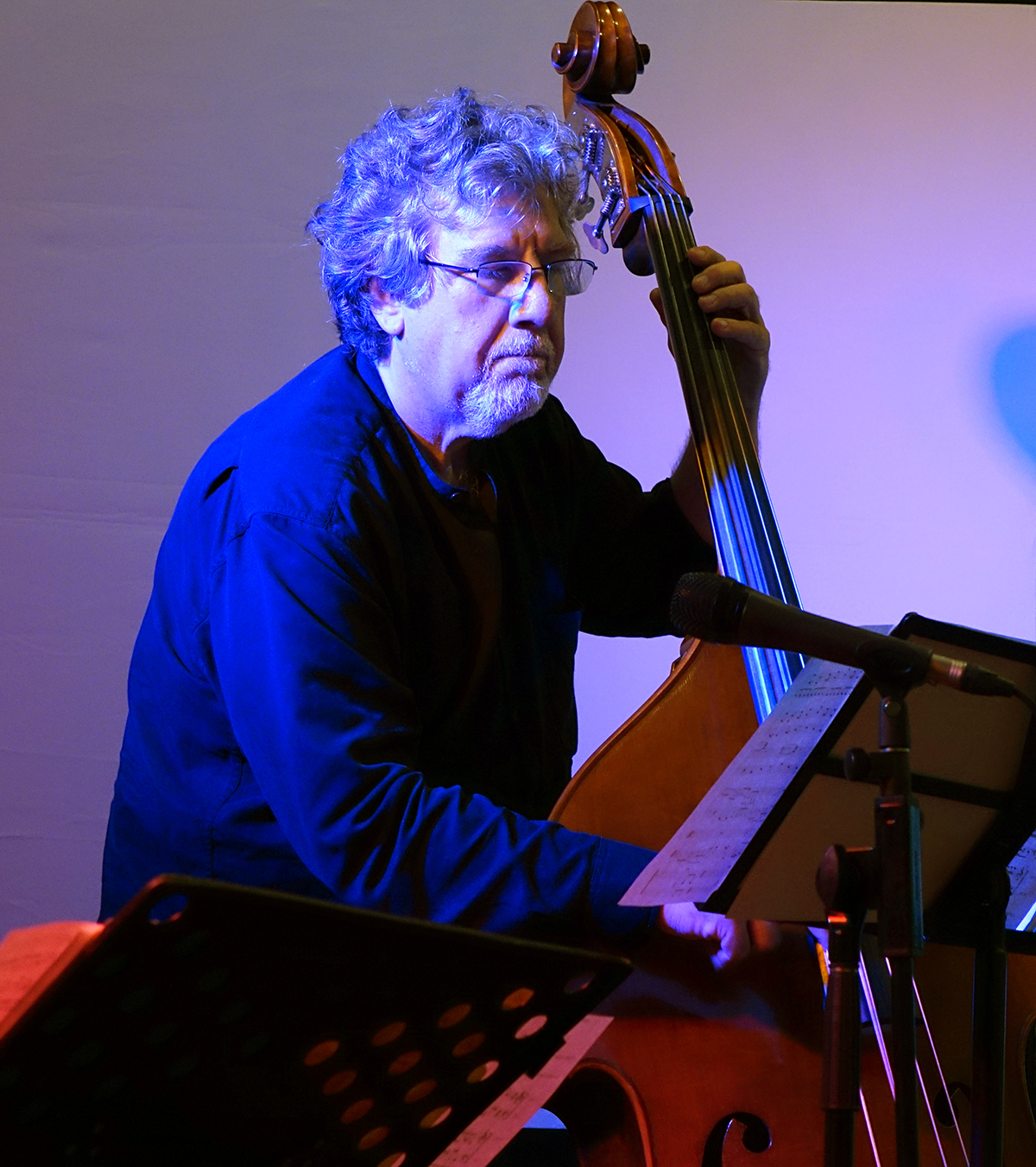 Michael Formanek at Guelph Jazz Festival 2015