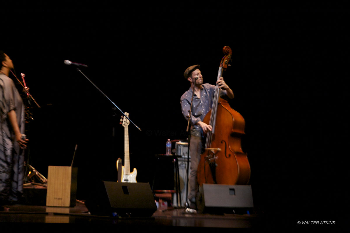 Lisa Fischer At UCD Mondavi Center for the Performing Arts