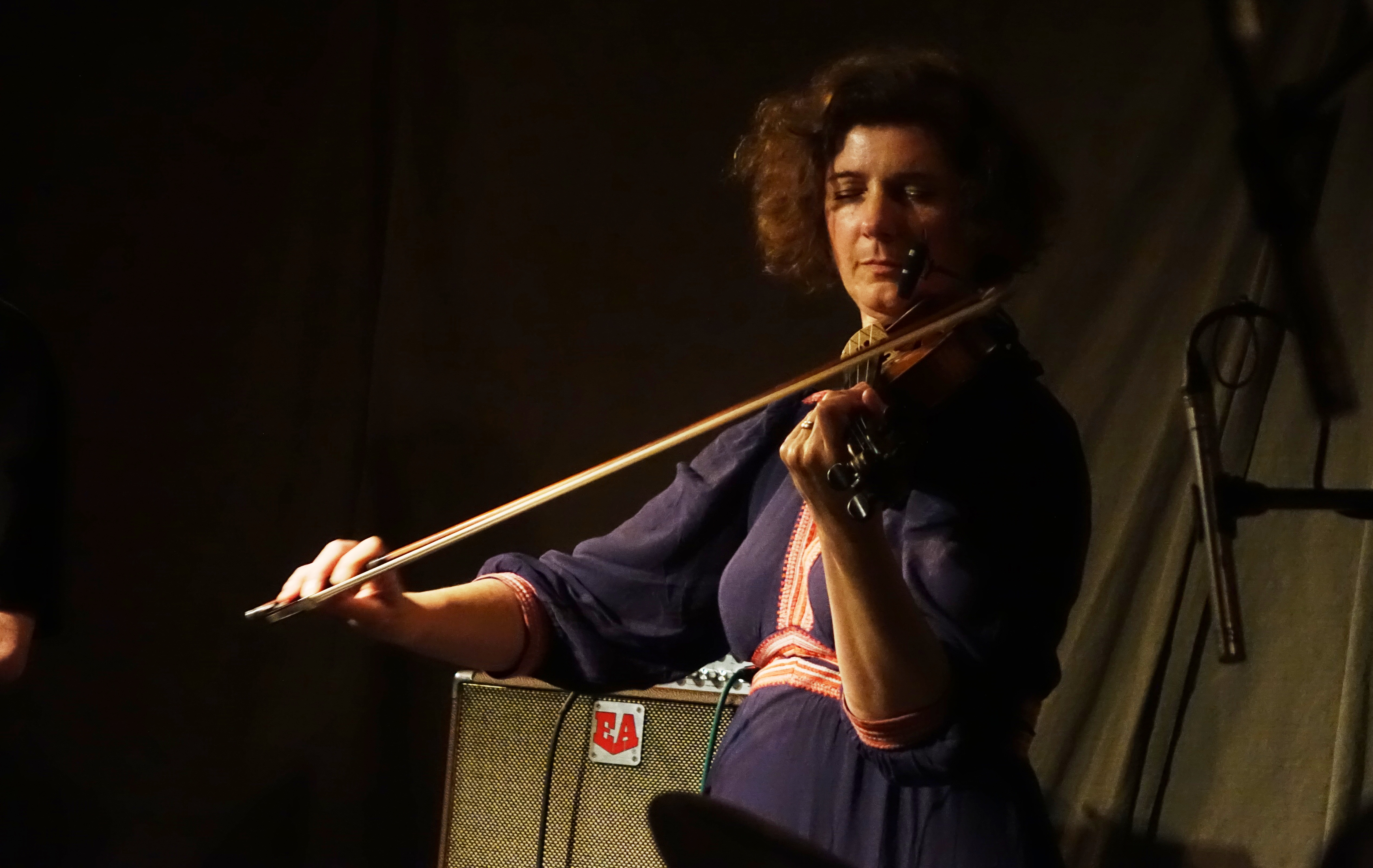 Angharad Davies at Cafe Oto on 25 October 2024