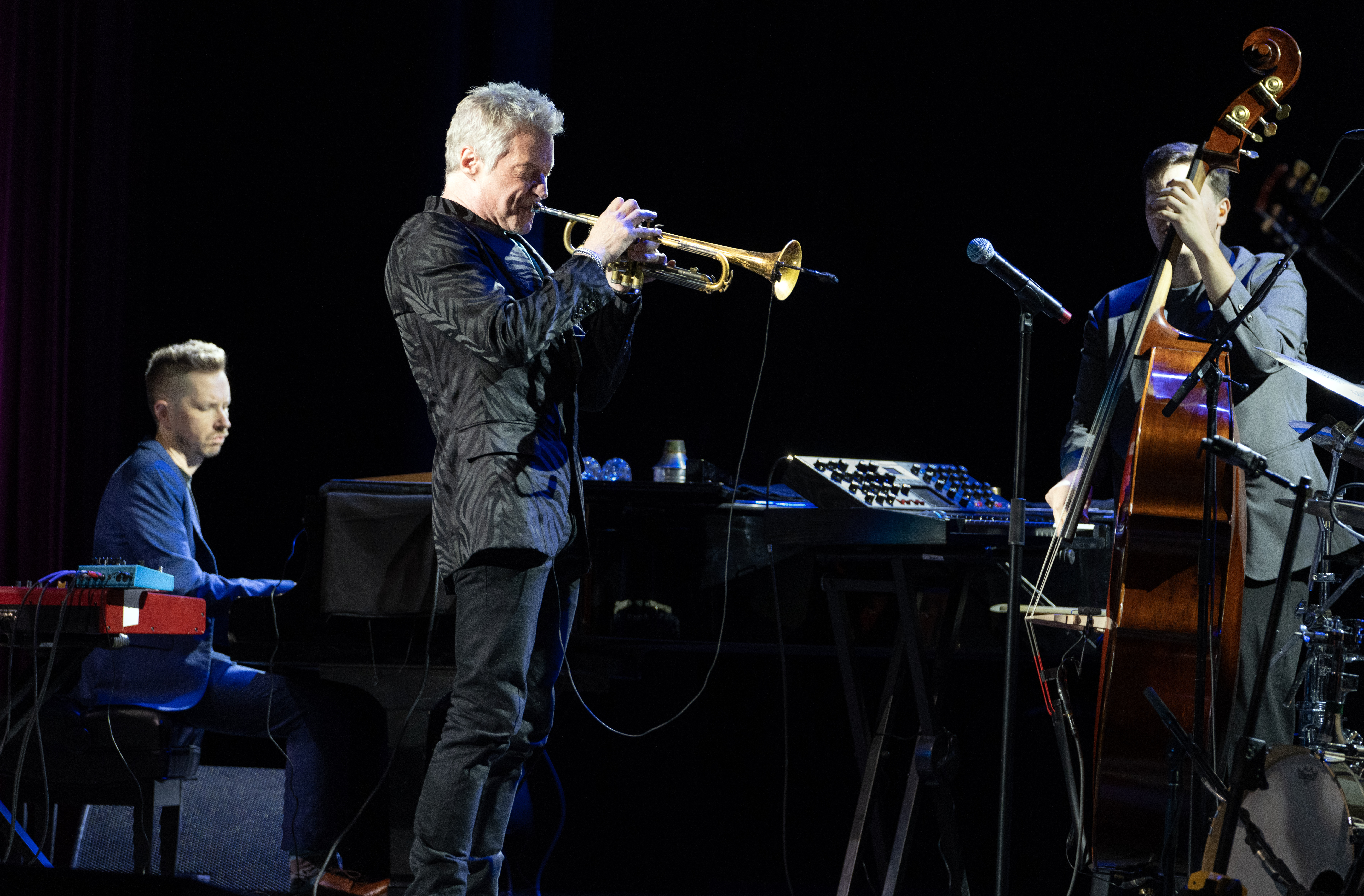 Chris Botti