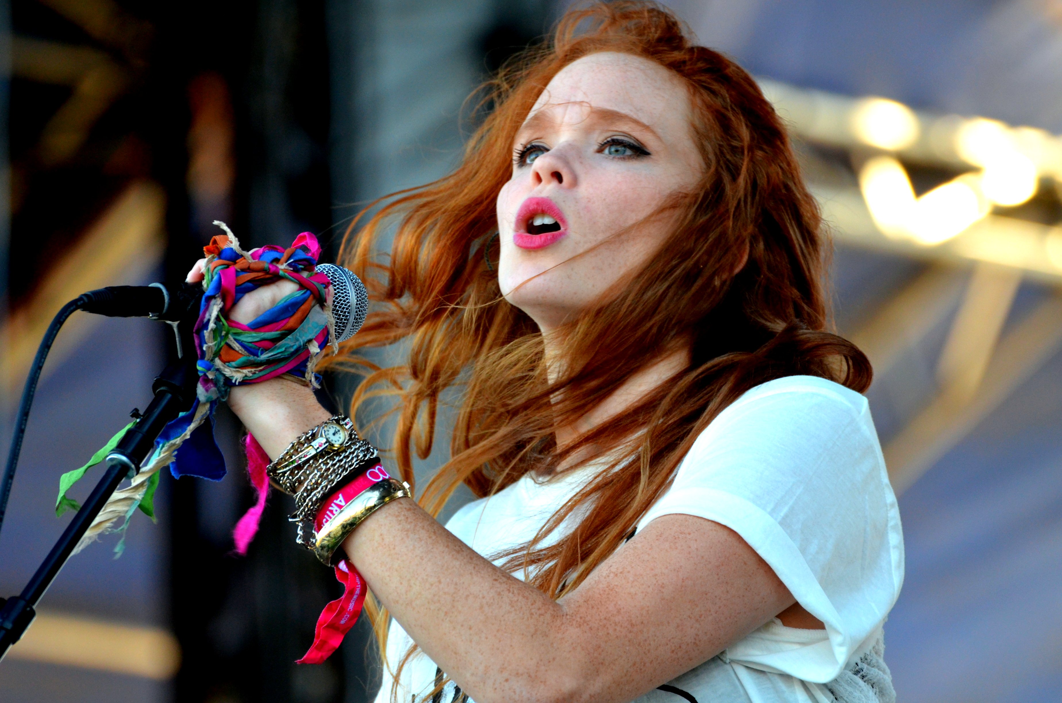 2014 Voodoo Experience