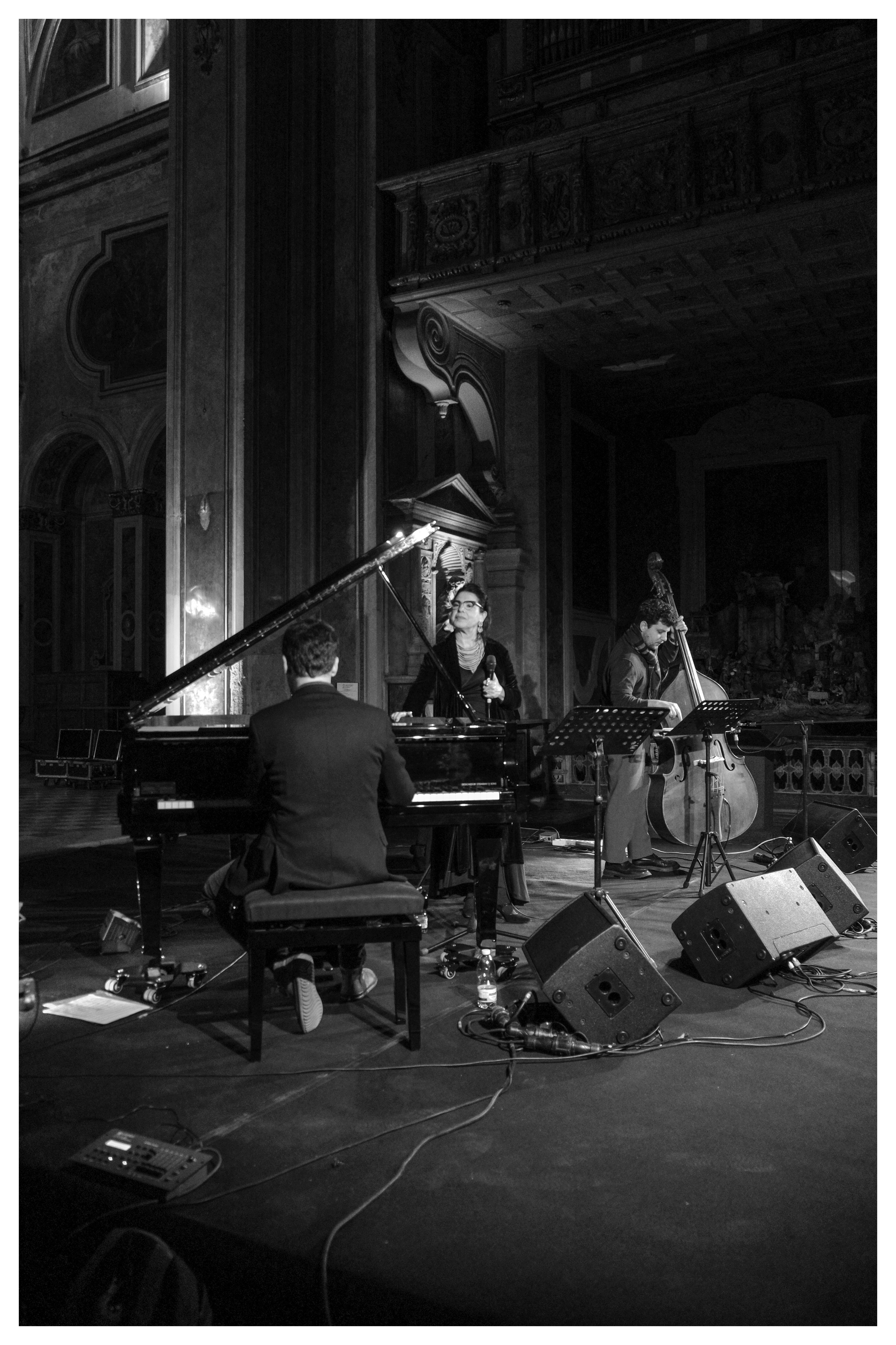 Ada Montellanico Trio