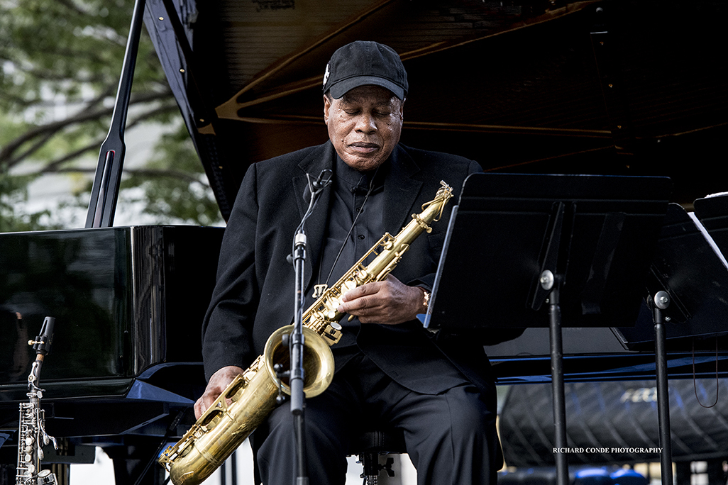 Wayne Shorter at the 2017 Detroit Jazz Festival