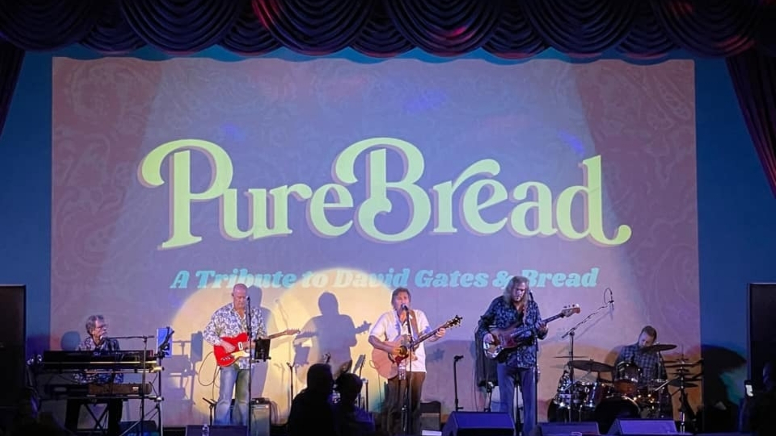 Pure Bread - A Tribute To David Gates & Bread