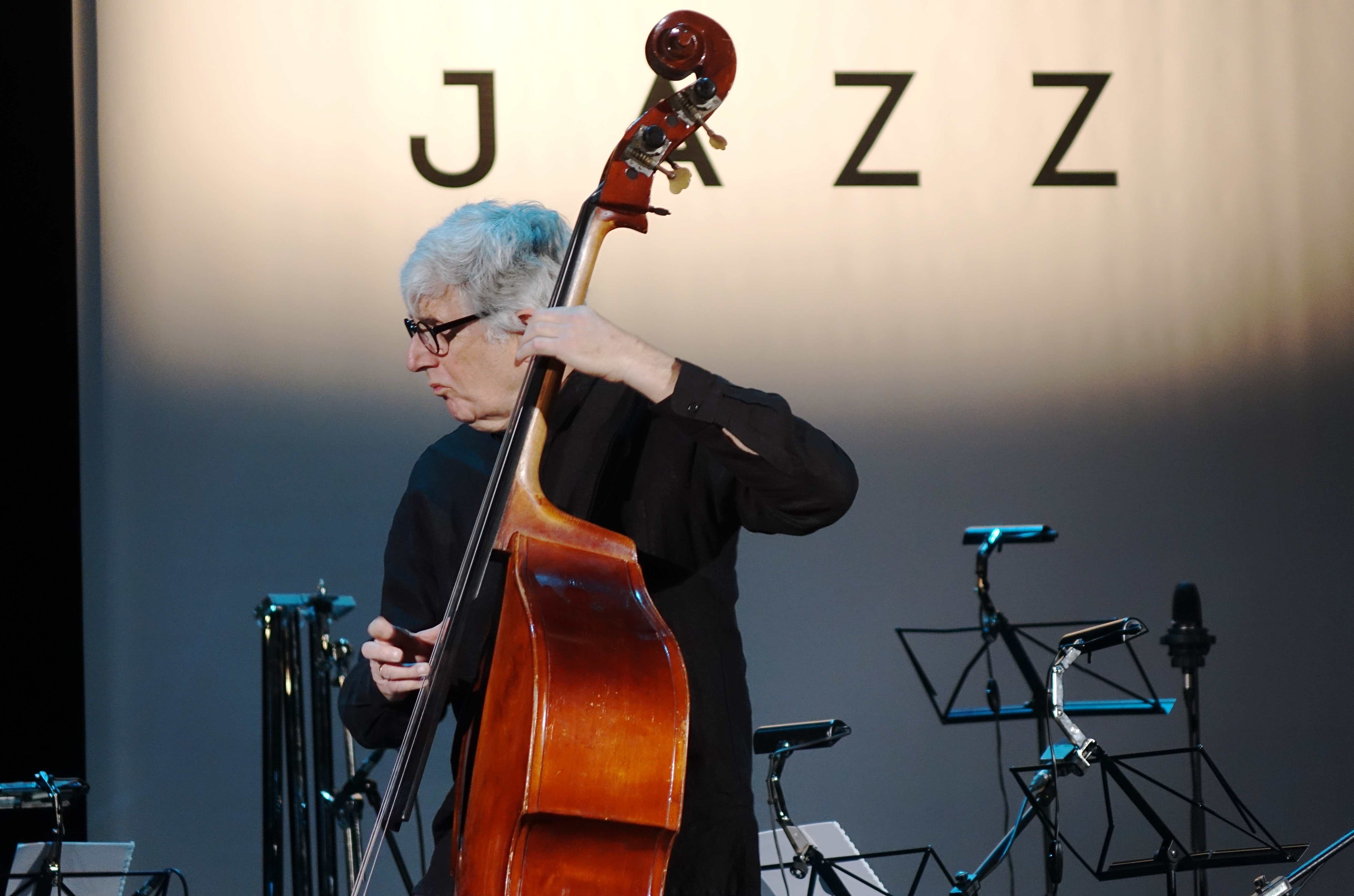 Mark Dresser at the Vilnius Mama Jazz Festival in November 2017