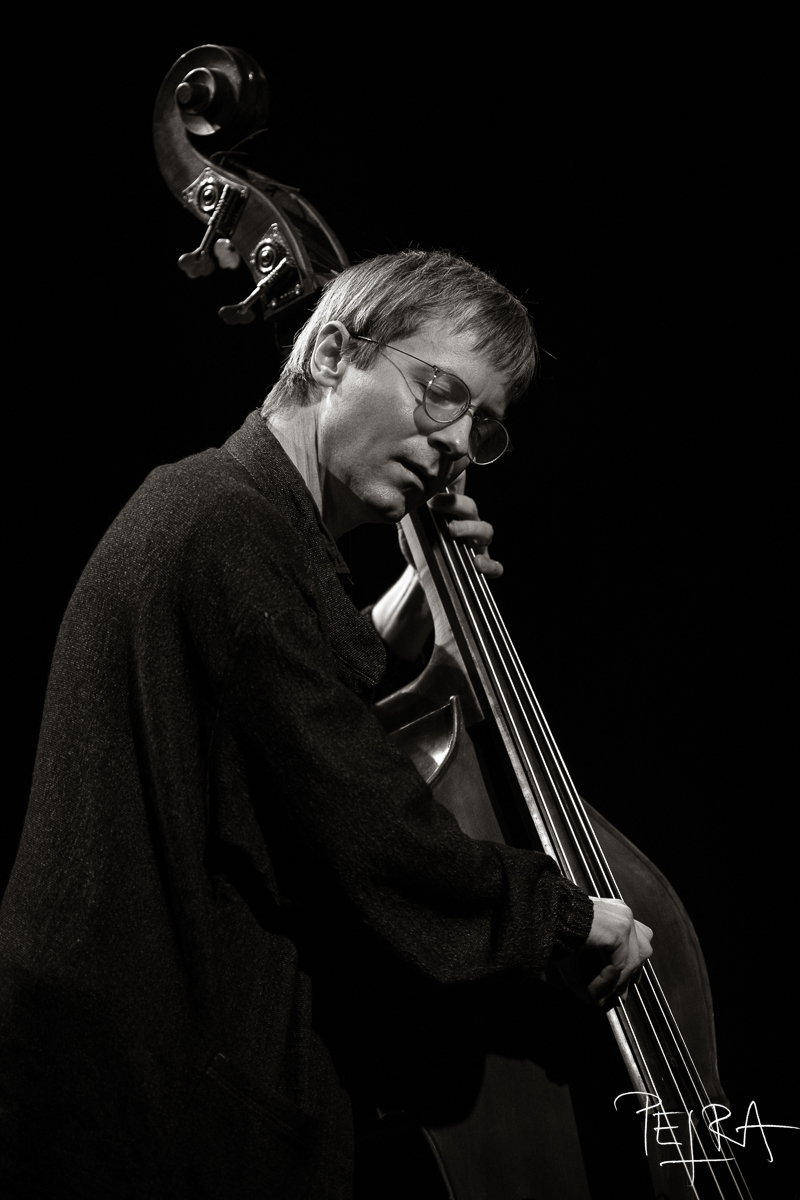 BILL FRISELL TRIO featuring THOMAS MORGAN & RUDY ROYSTON