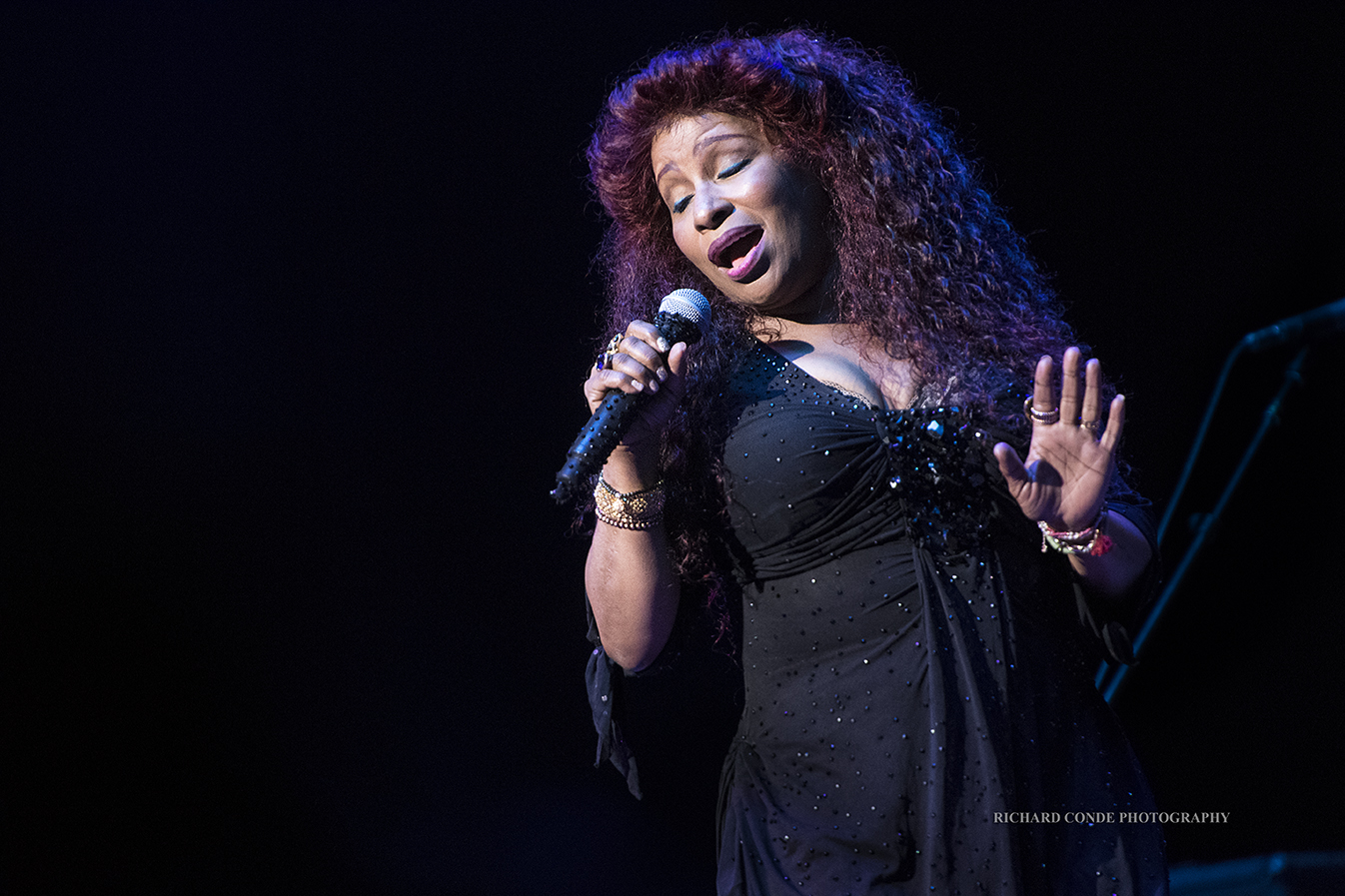 Chaka Khan at the Freihofer Saratoga Jazz Festival 2017