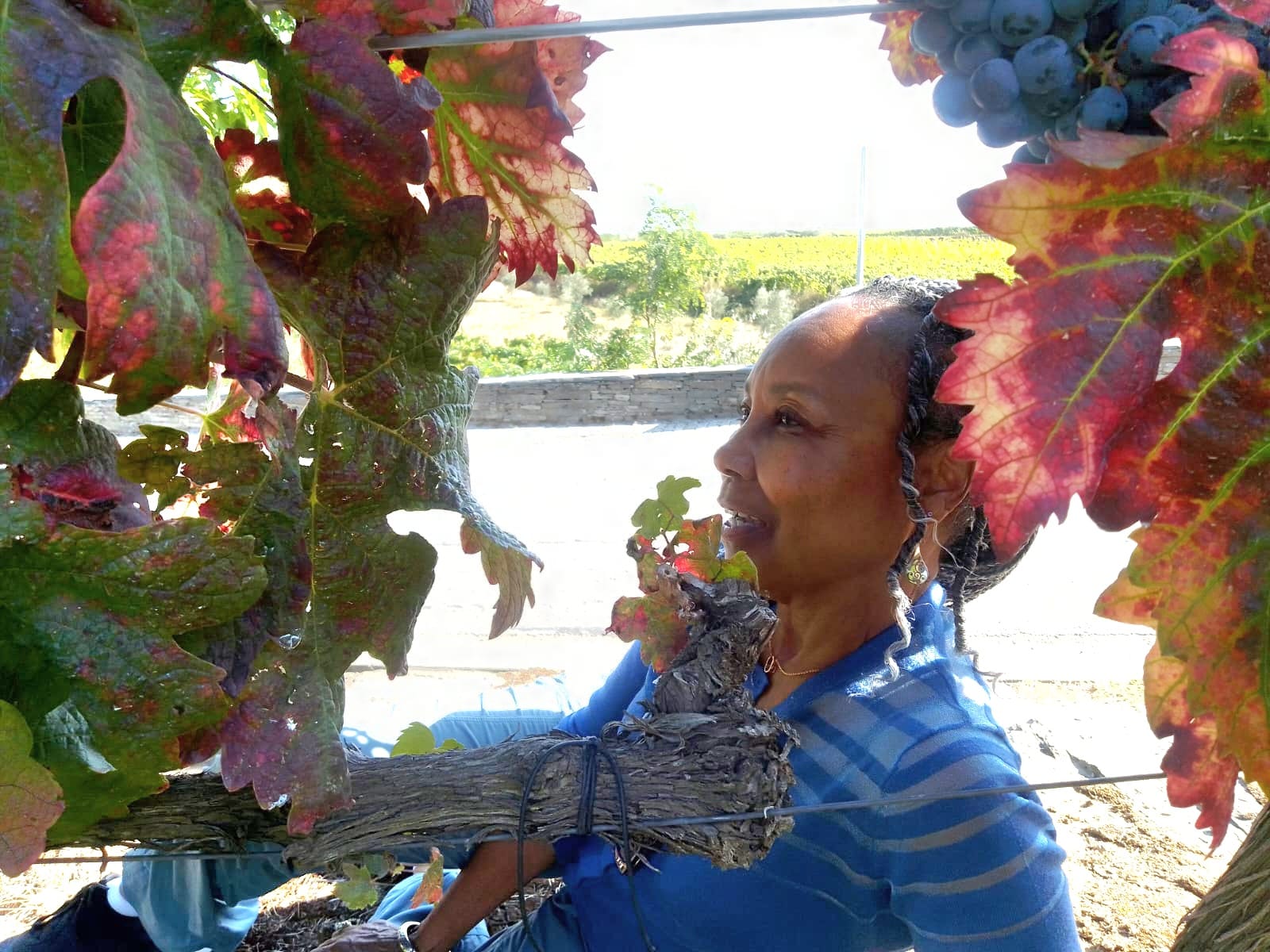 Portugal Winery — jazz photo by Rhonda Wagner | All About Jazz