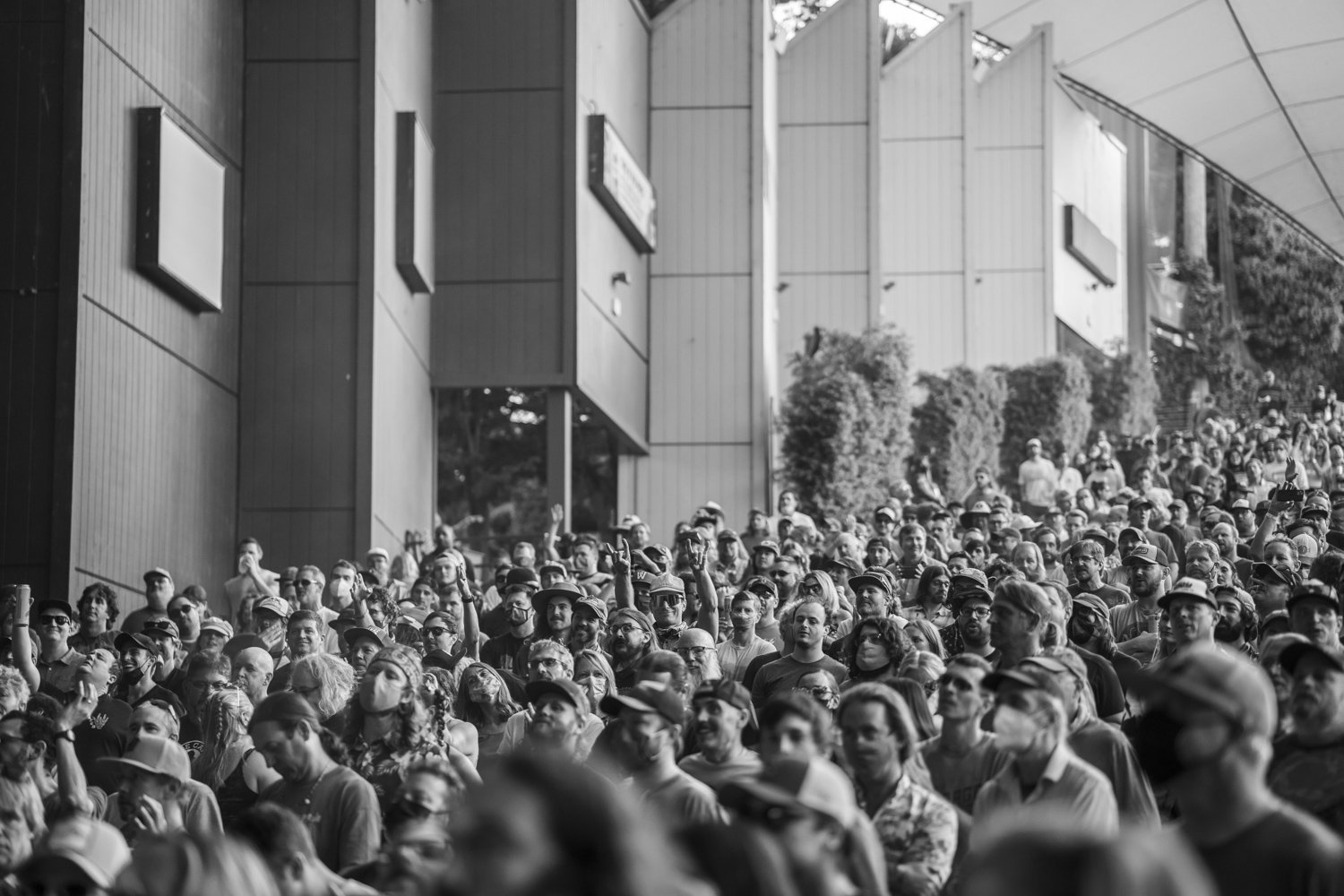 Fired up Shoreline Crowd