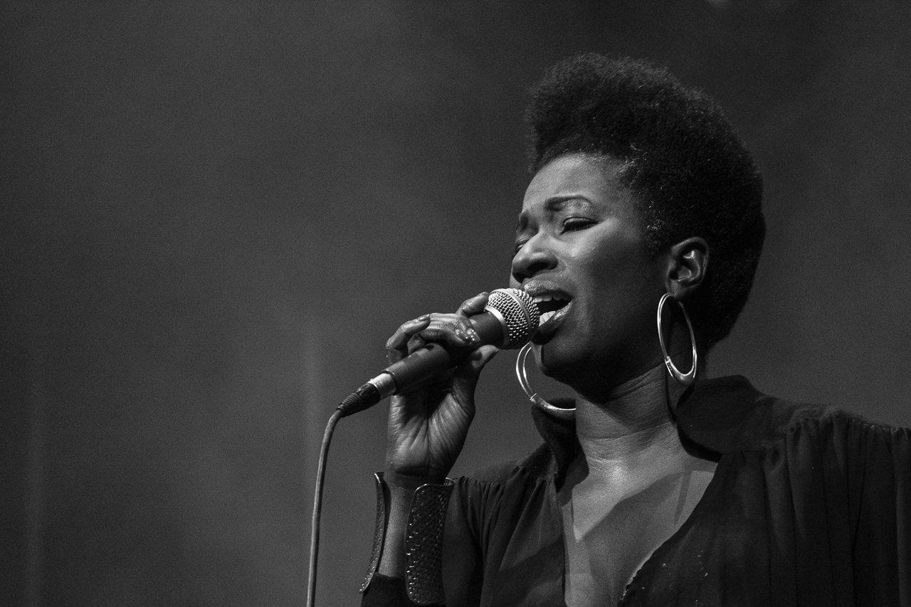 Incognito - Vanessa Haynes