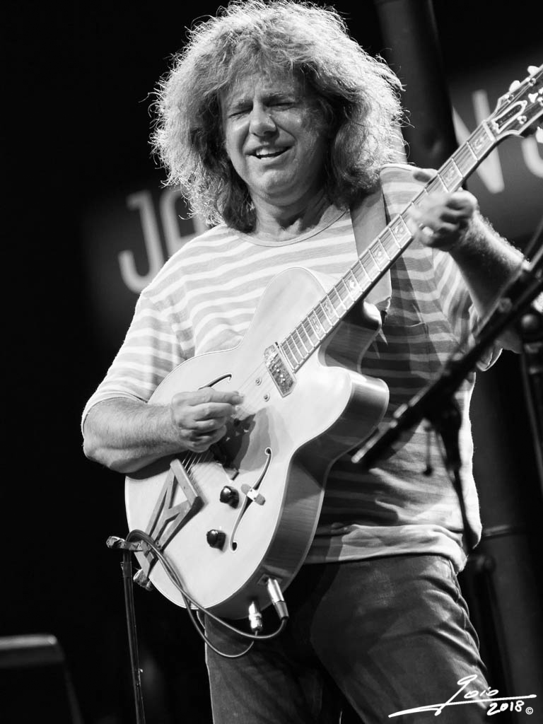 Pat Metheny-2018-(3)