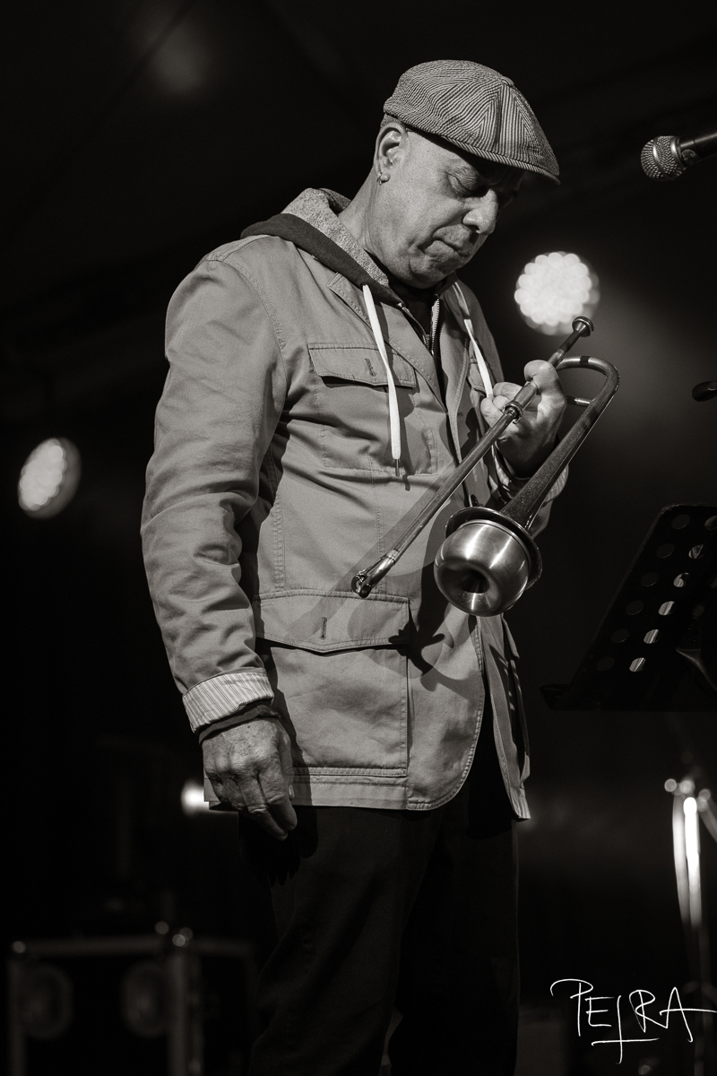 Steven Bernstein