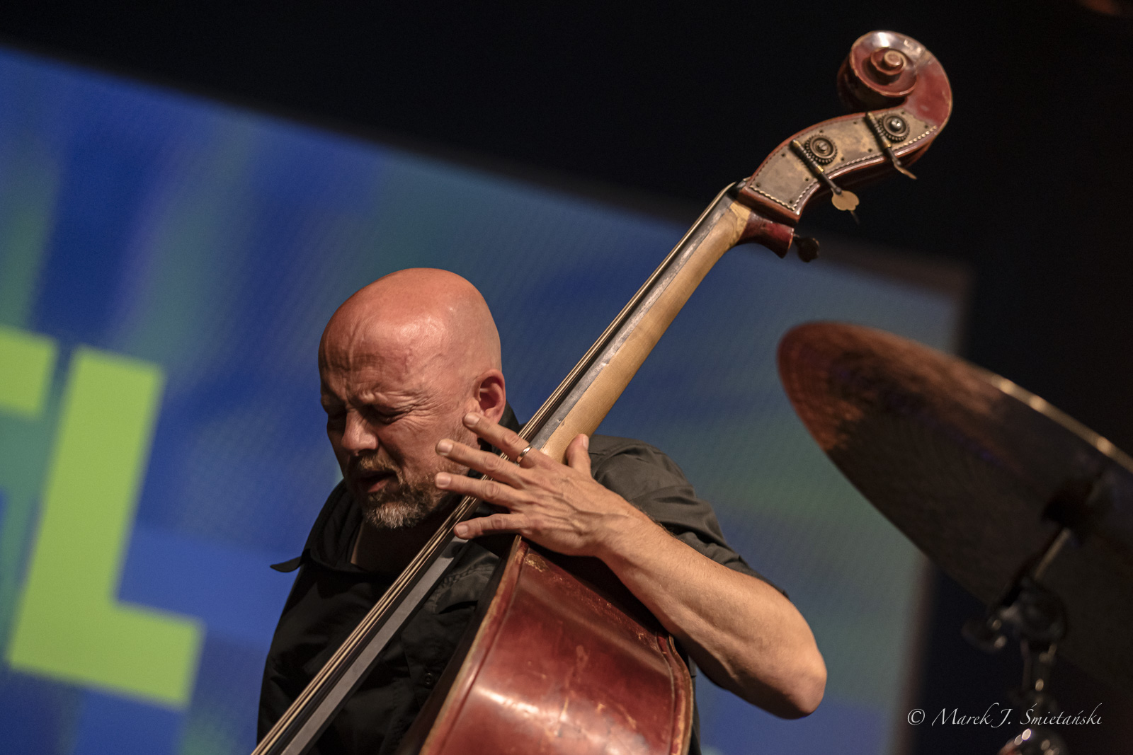 Ingebrigt Håker Flaten — jazz photo by Marek J. Śmietański | All About Jazz