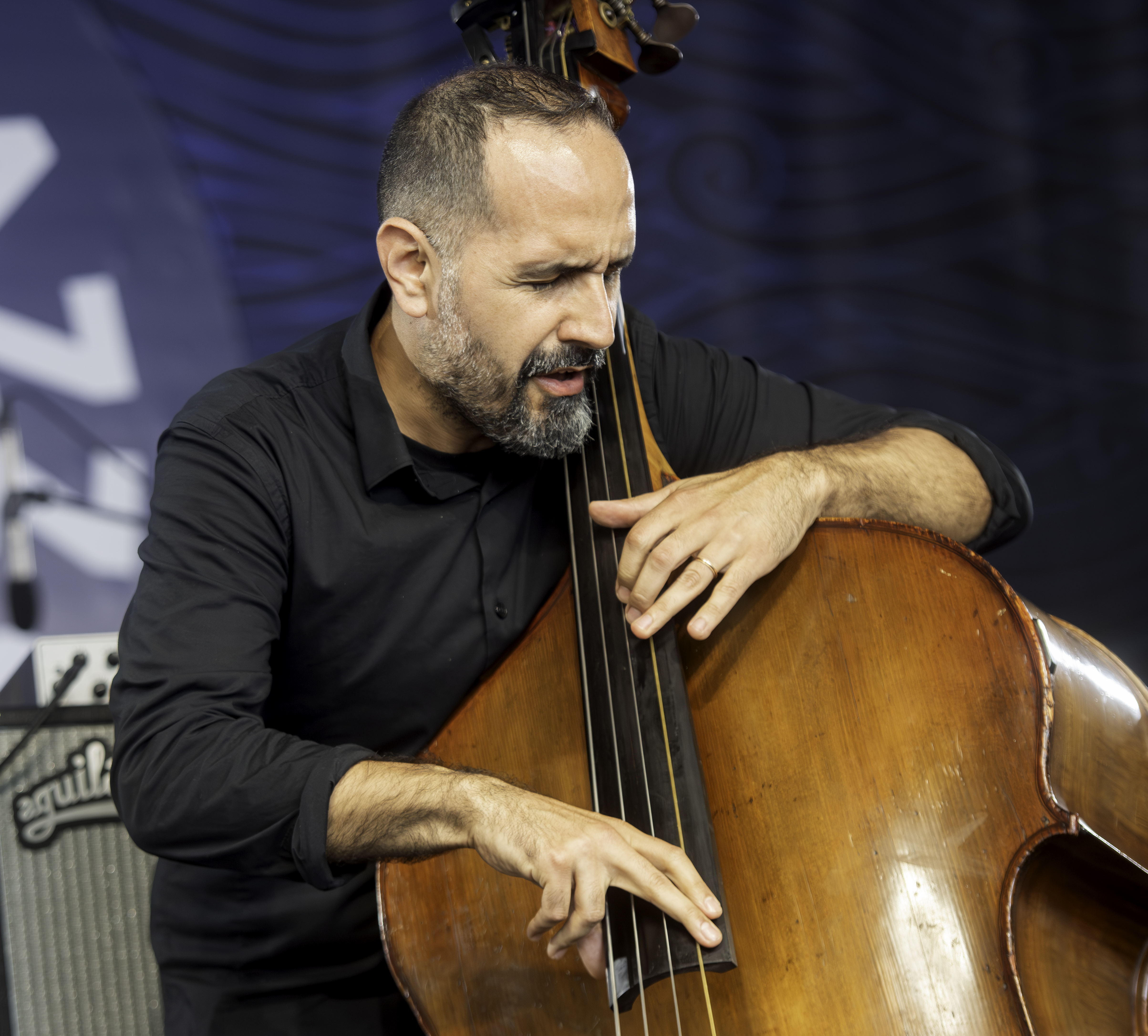 Jorge Roeder with Julian Lage Trio at the Newport Jazz Festival 2023