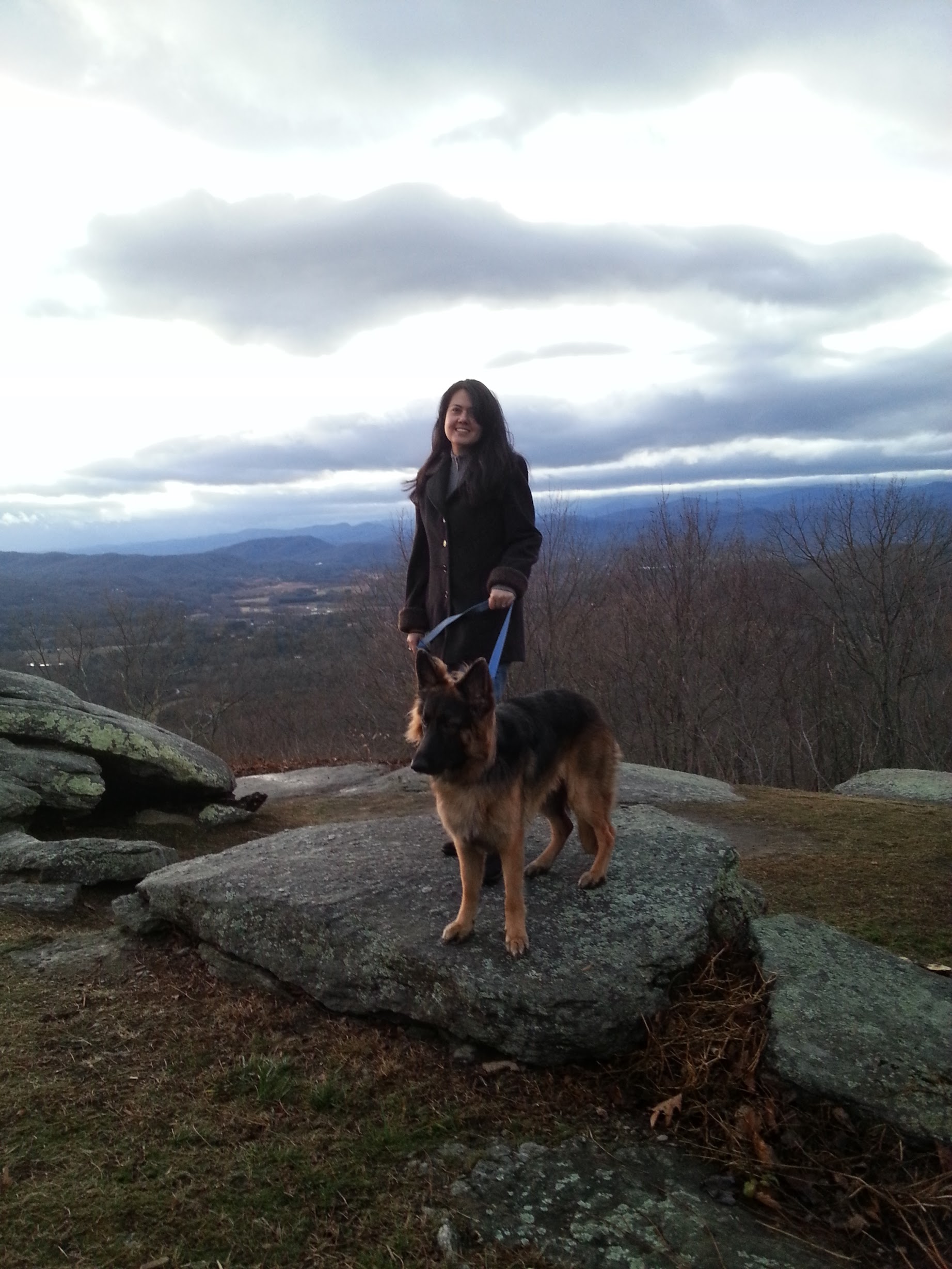 Sammy the German Shepherd