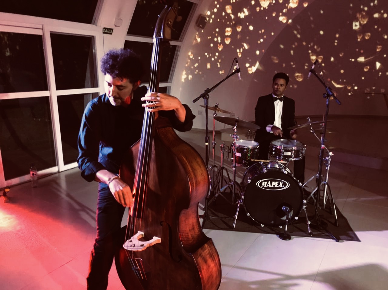 Bass player