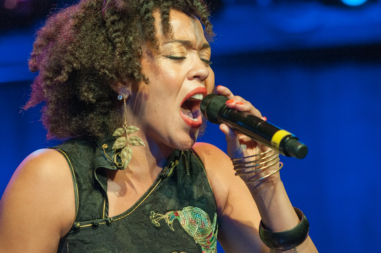 Maya Azucena with Burnt Sugar the Arkestra Chamber at le Poisson Rouge