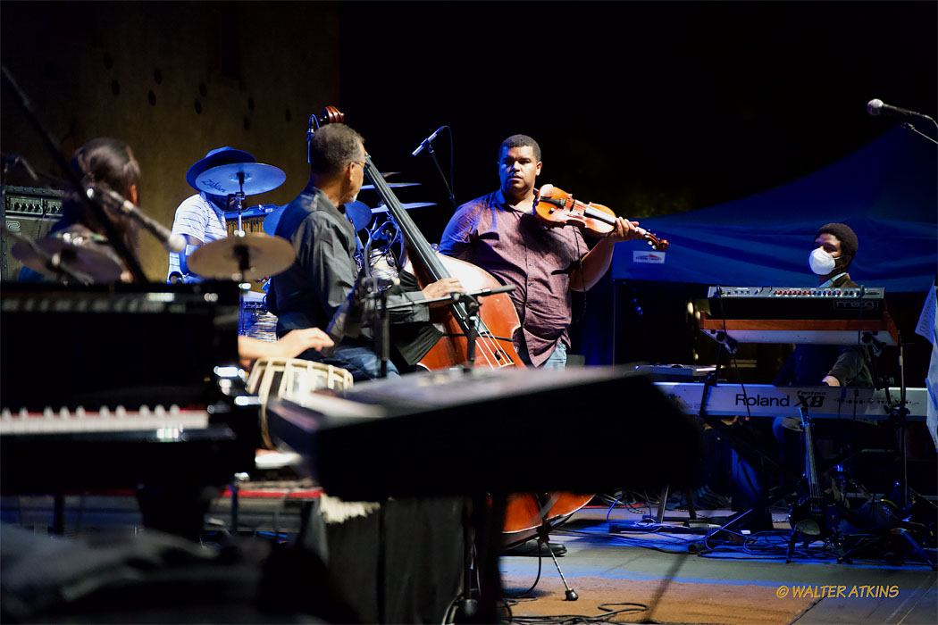 Stanley Clarke At Charles Krug Estate