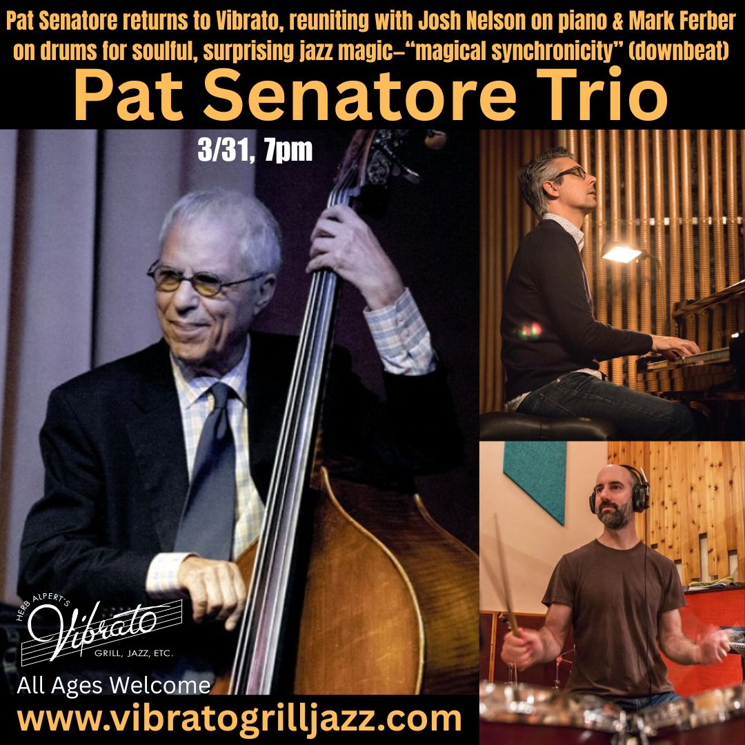 Pat Senatore Trio Returns To The Stage — jazz photo by Lauri J Reimer | All About Jazz