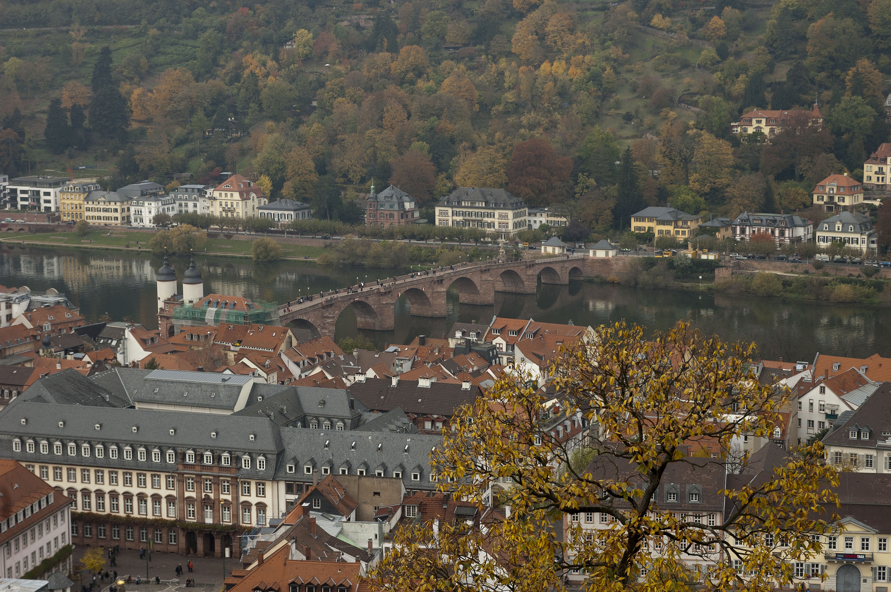 Images of Heidelberg, Enjoy Jazz 2011