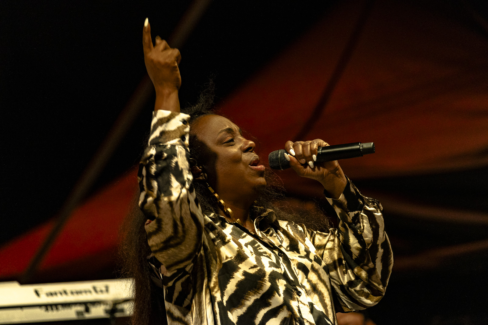 Ledisi