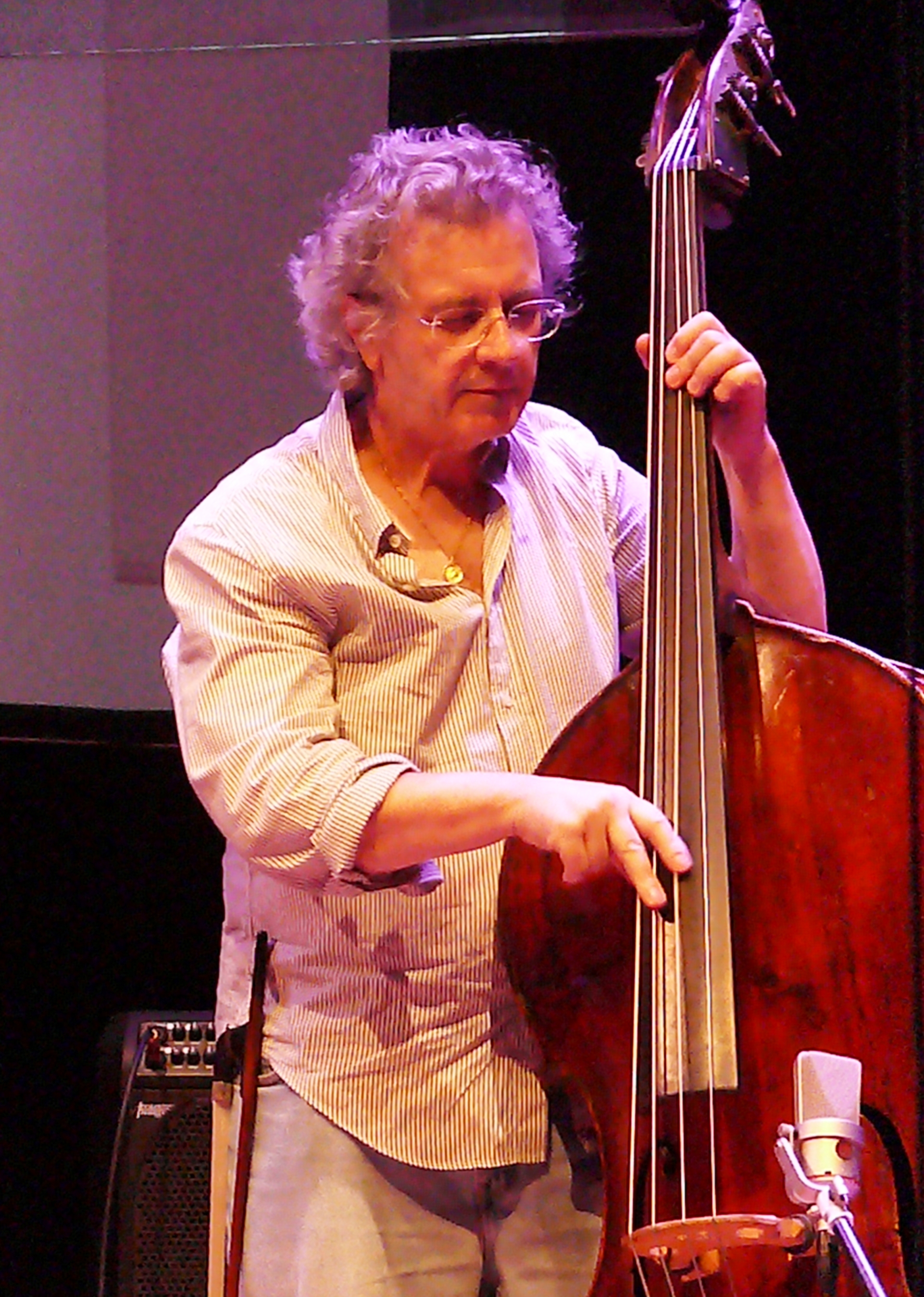 Michael Bisio at the Vision Festival, NYC in June 2012