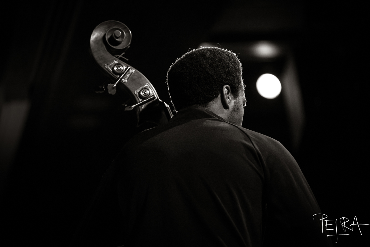 Luke Stewart Silt Trio