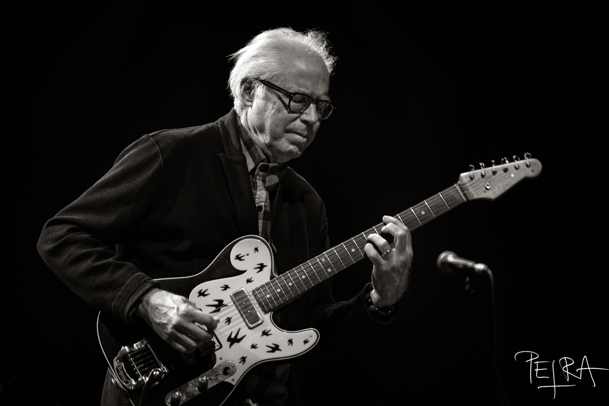 BILL FRISELL TRIO featuring THOMAS MORGAN & RUDY ROYSTON