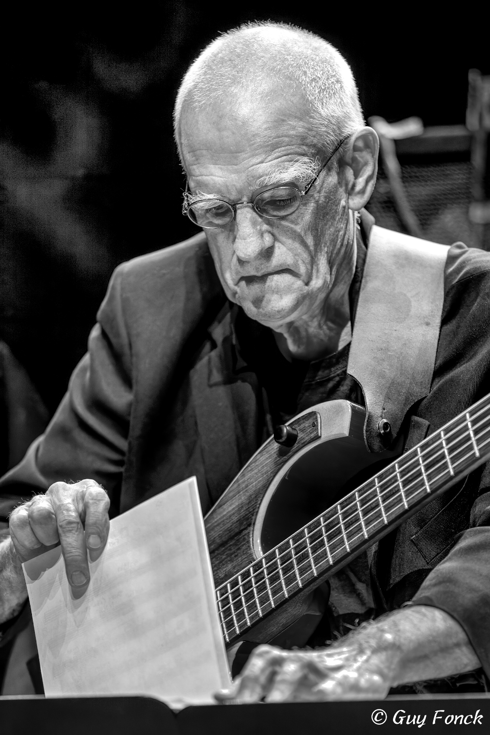 Steve Swallow 2012