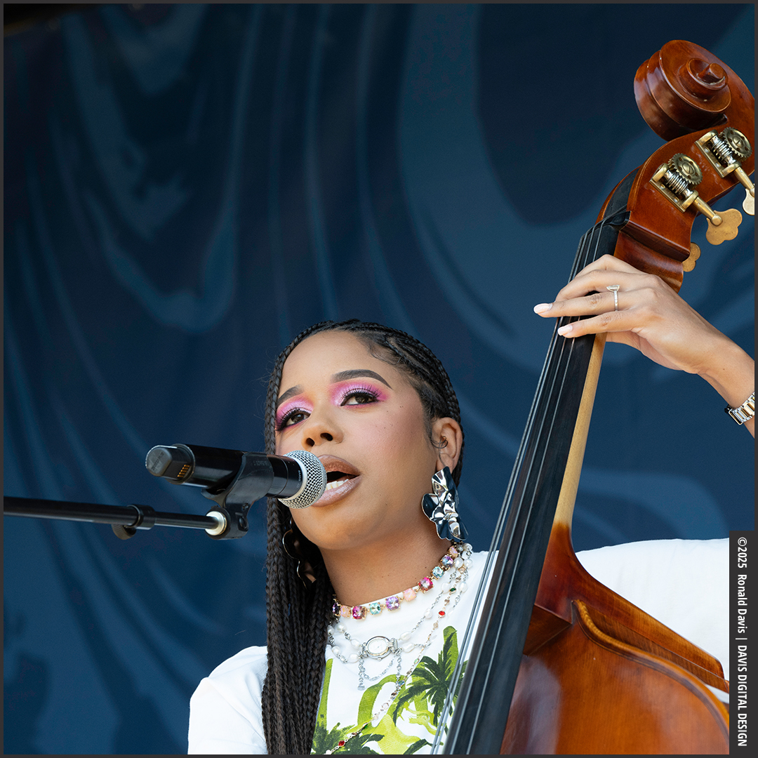 Aneesa Strings