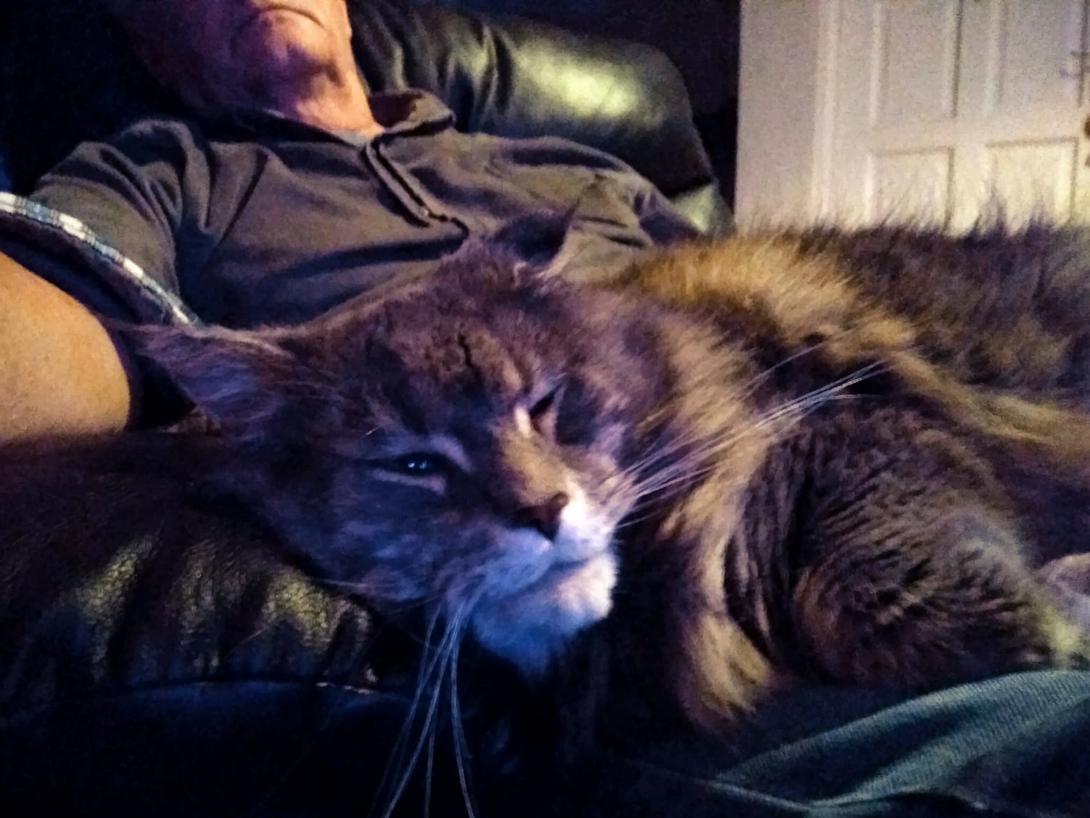 Neo and I, listening to the good stuff. — jazz photo by desmond stanley | All About Jazz