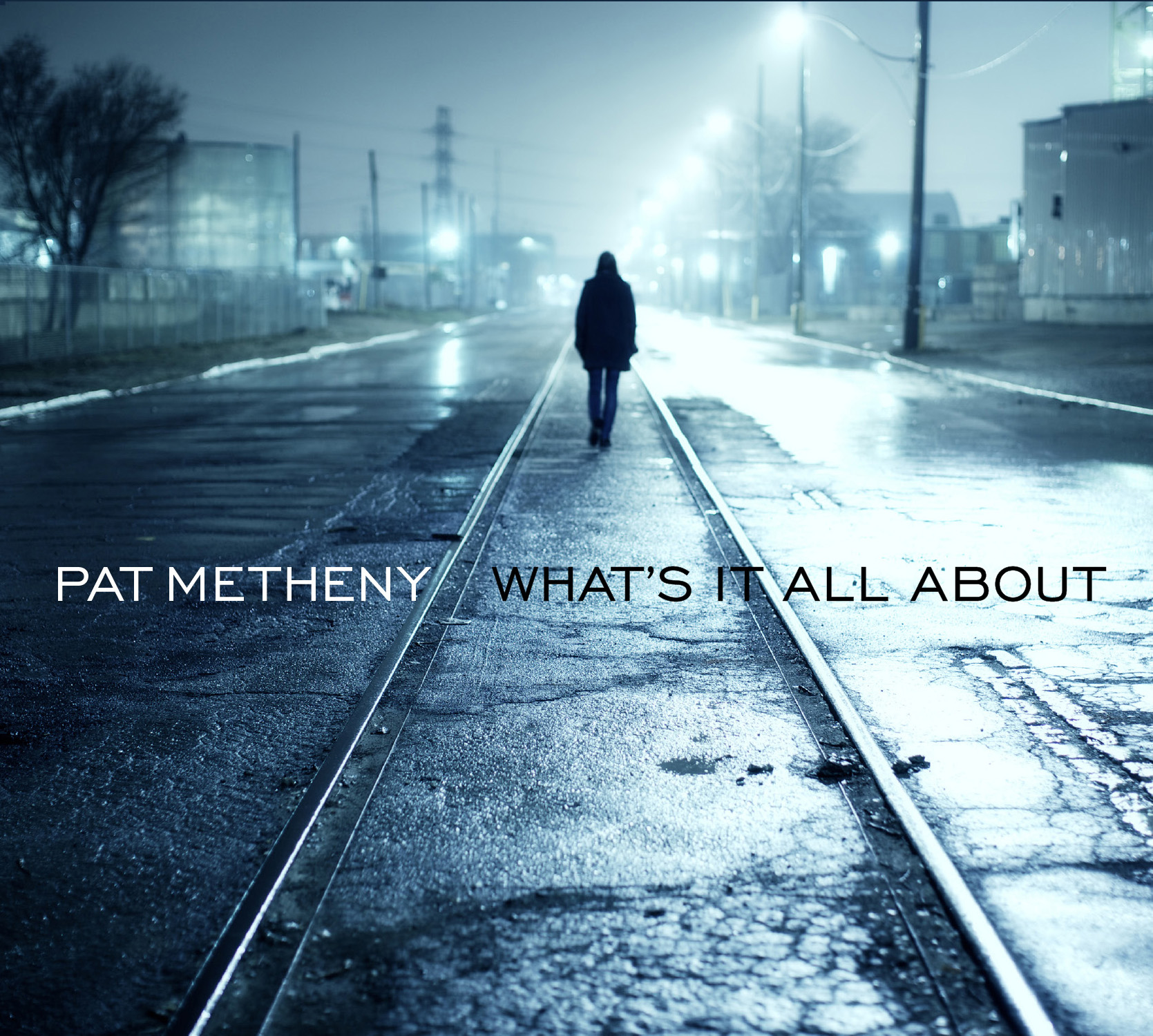 Pat Metheny: What's It All About — jazz photo by Sharon Williams | All About Jazz