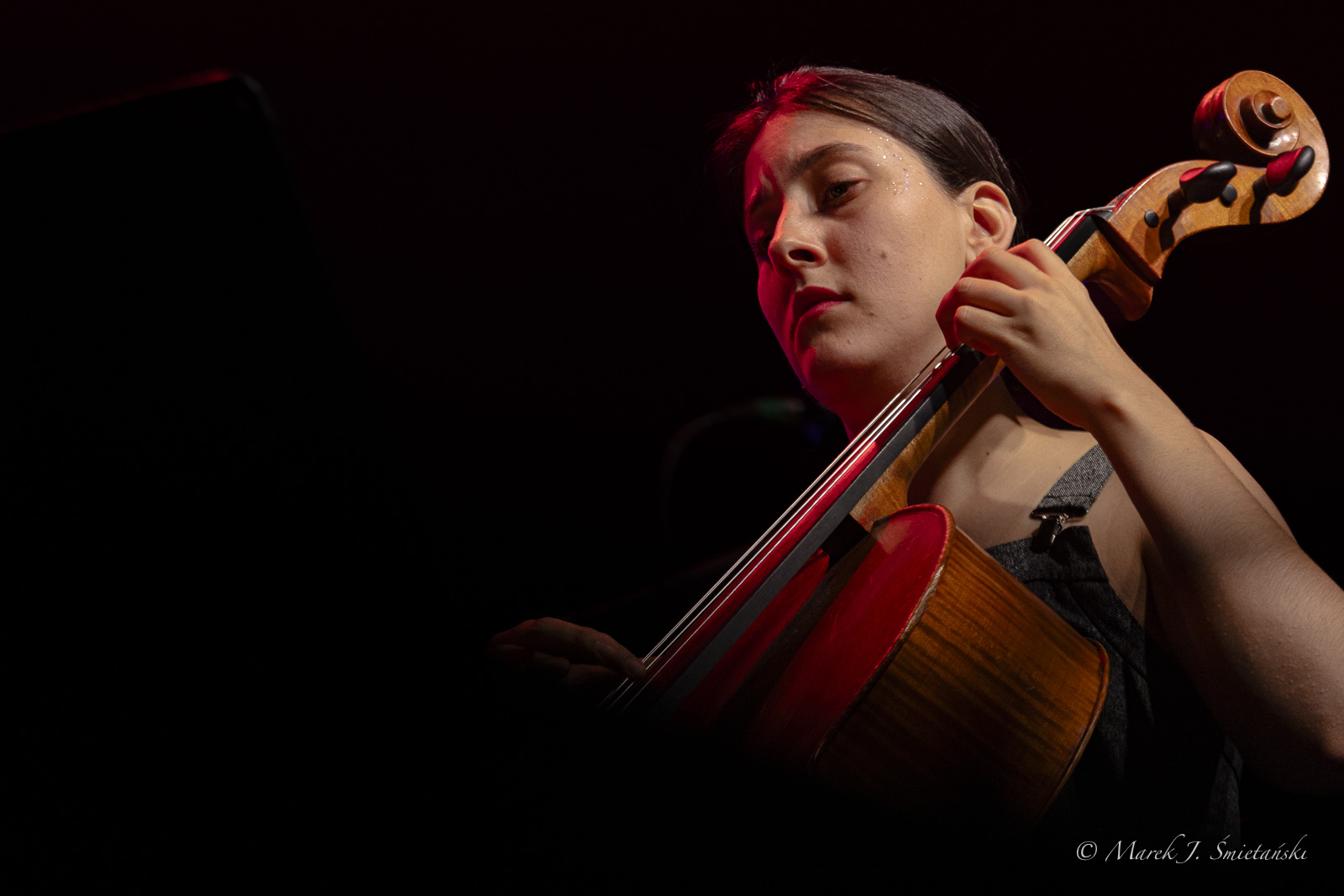 Adèle Viret