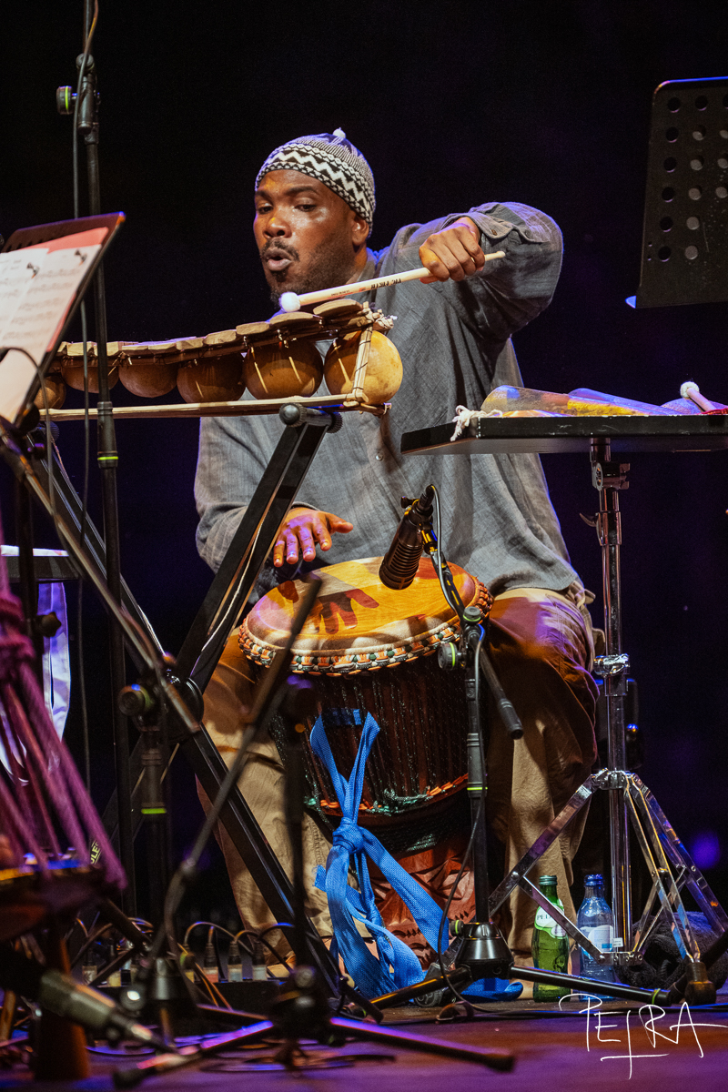 Tomas Fujiwara: Dream Up, Kweku Sumbry  — jazz photo by Petra Cvelbar | All About Jazz